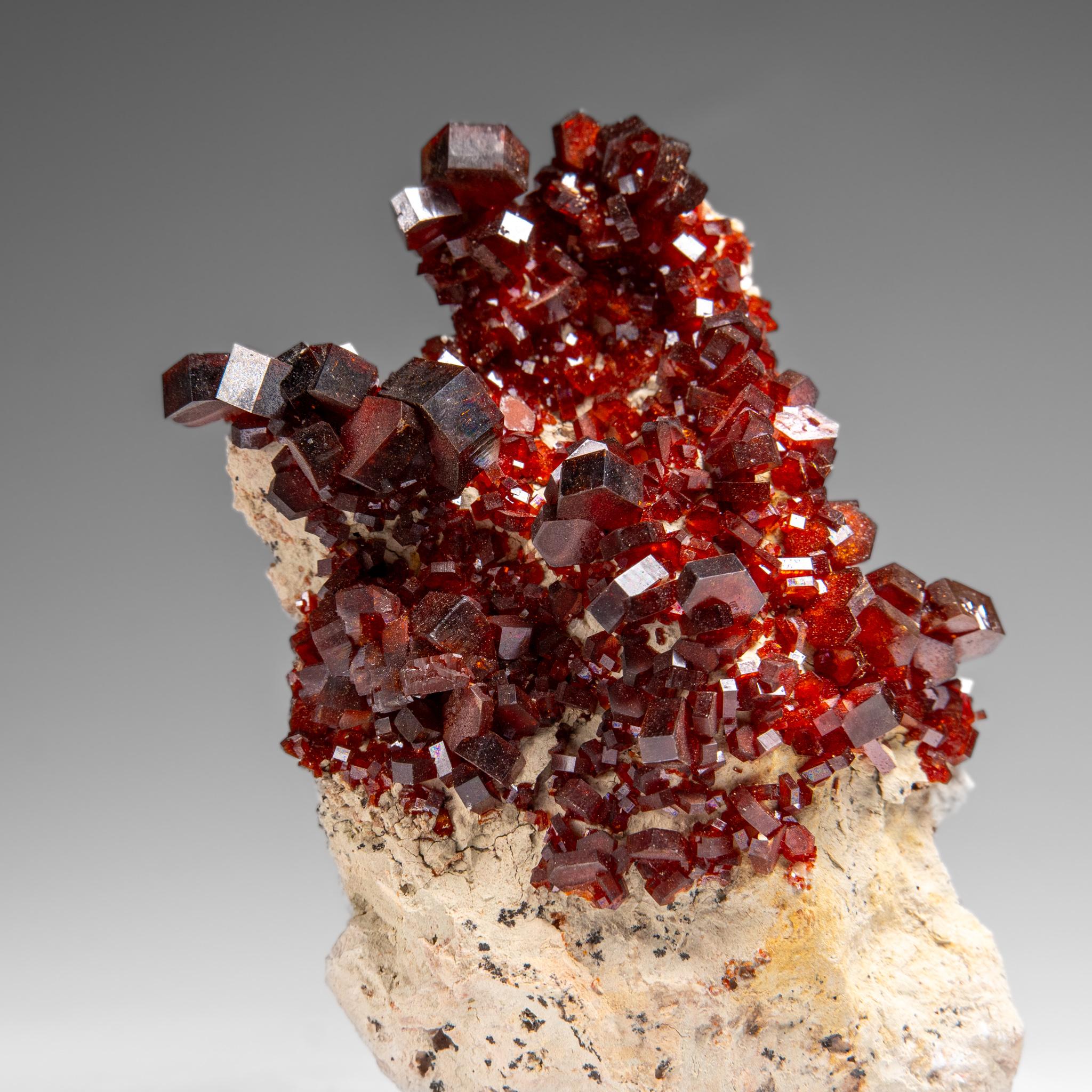 Vanadinite Crystal Cluster on Matrix from Morocco In condizioni Nuovo in vendita a New York, NY