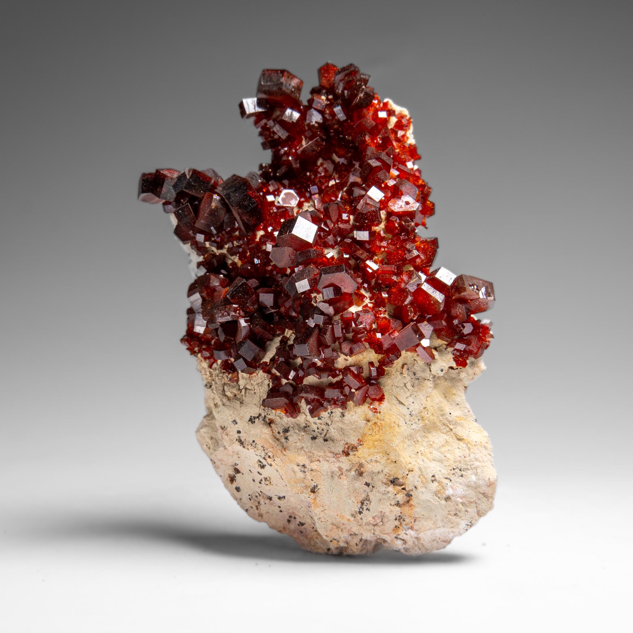 XXI secolo e contemporaneo Vanadinite Crystal Cluster on Matrix from Morocco in vendita