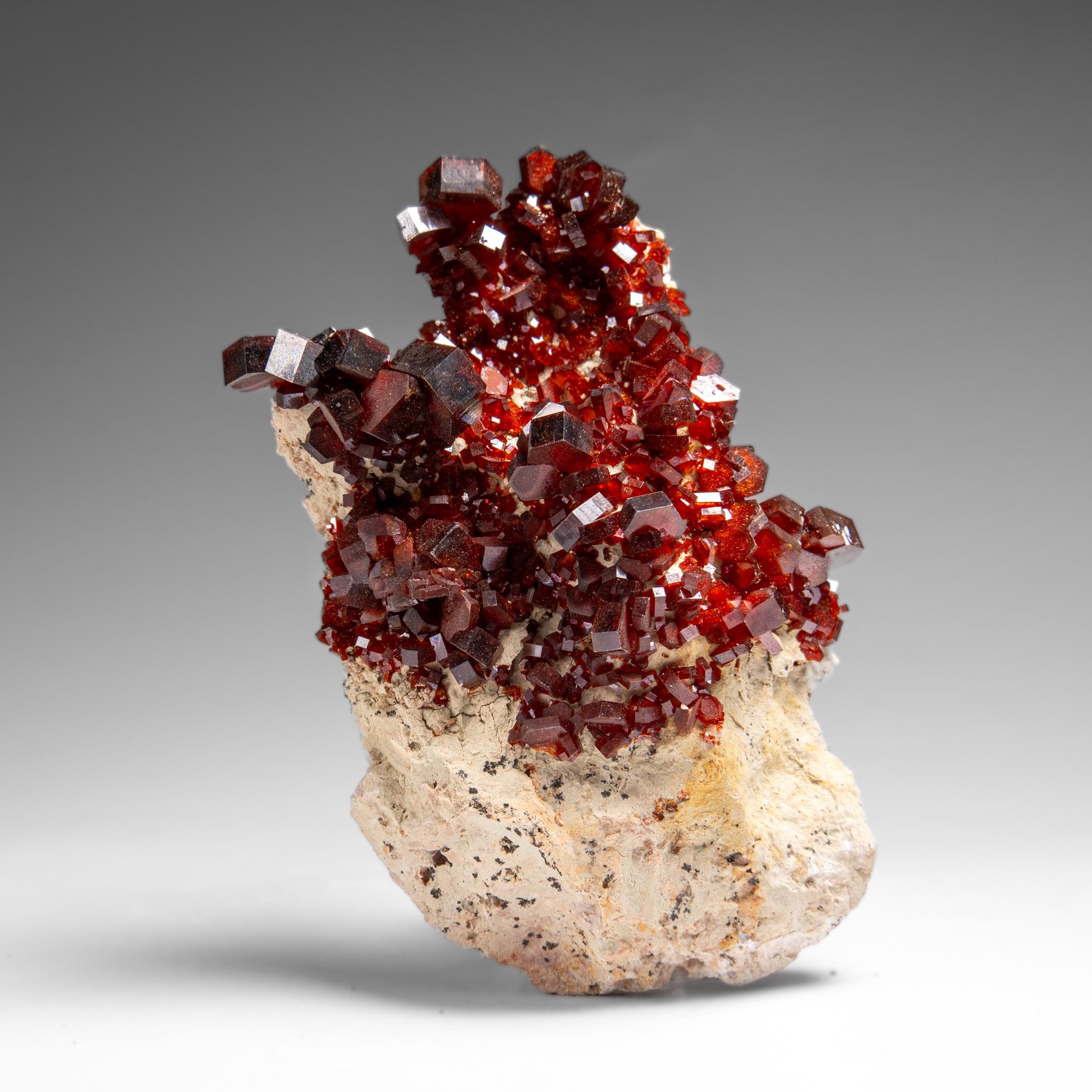 Altro Vanadinite Crystal Cluster on Matrix from Morocco in vendita