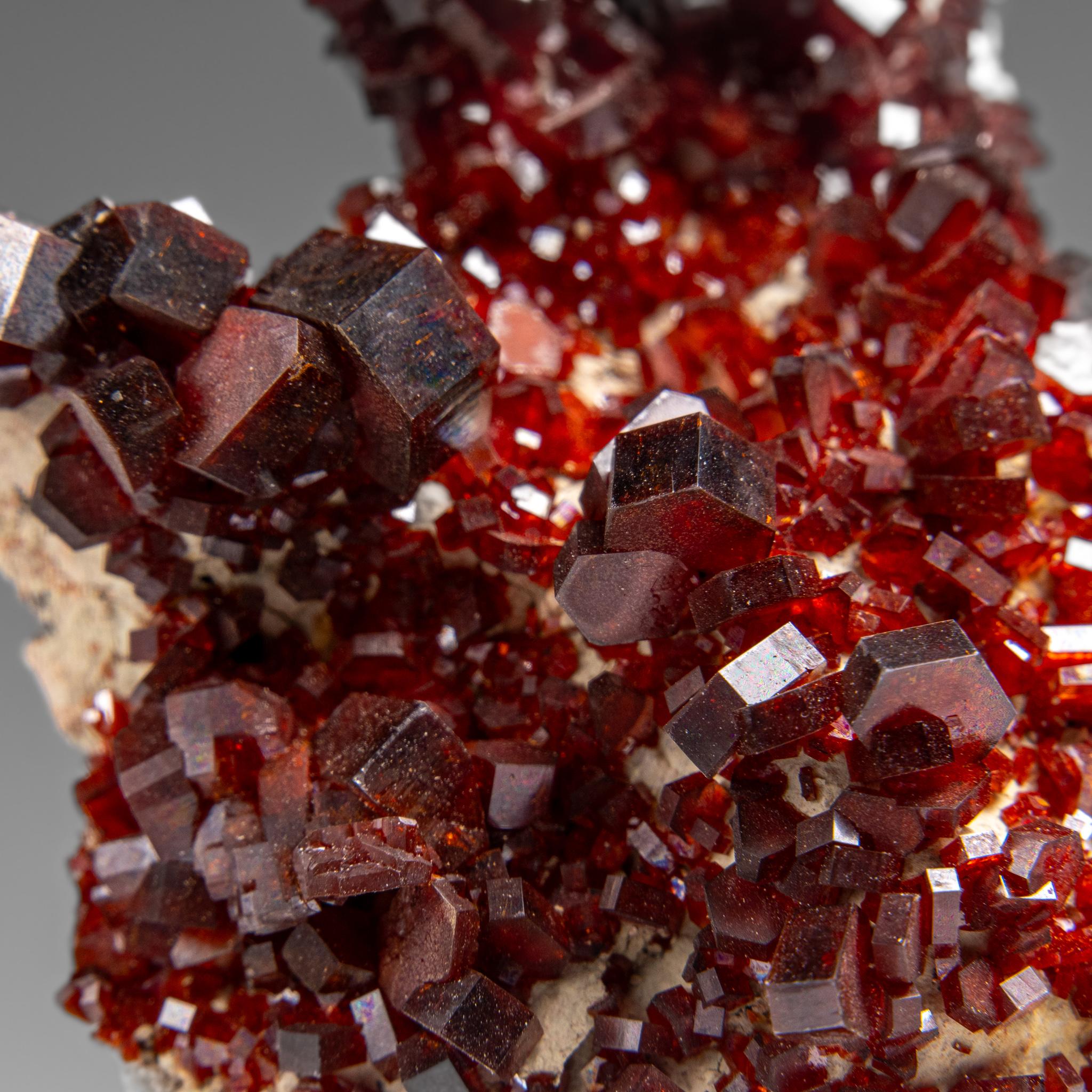 Vanadinite Crystal Cluster on Matrix from Morocco in vendita 1
