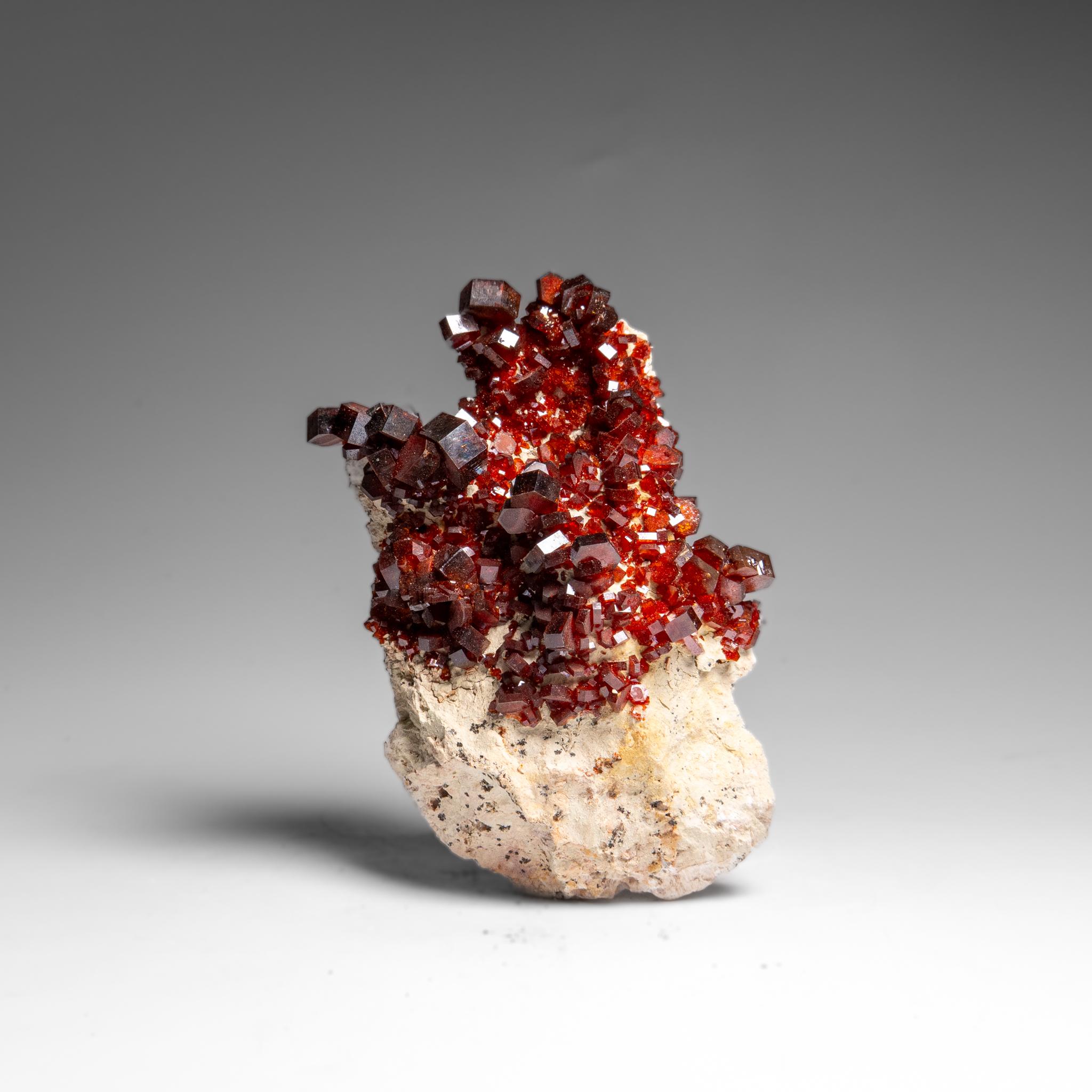 Vanadinite Crystal Cluster on Matrix from Morocco in vendita 2