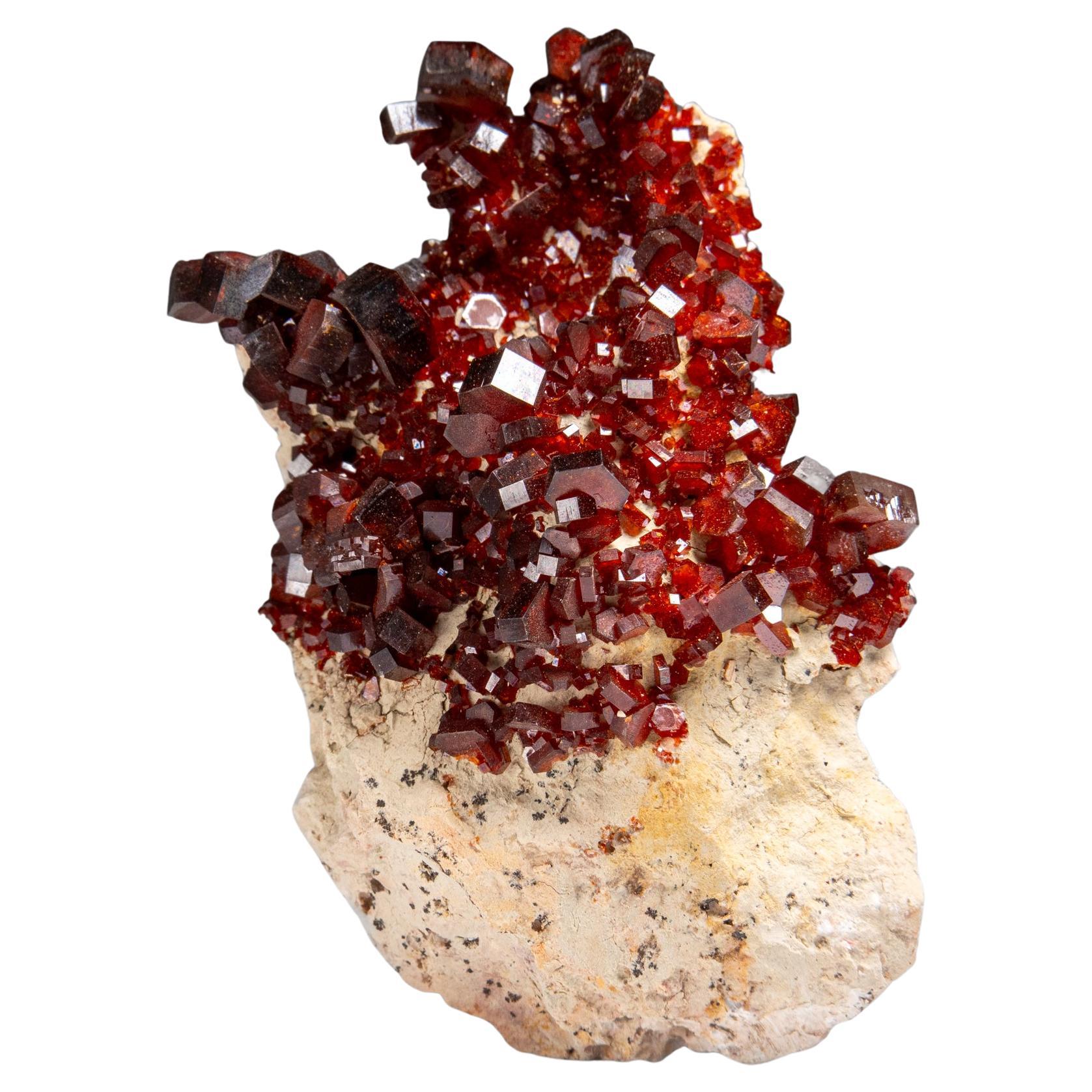 Vanadinite Crystal Cluster on Matrix from Morocco