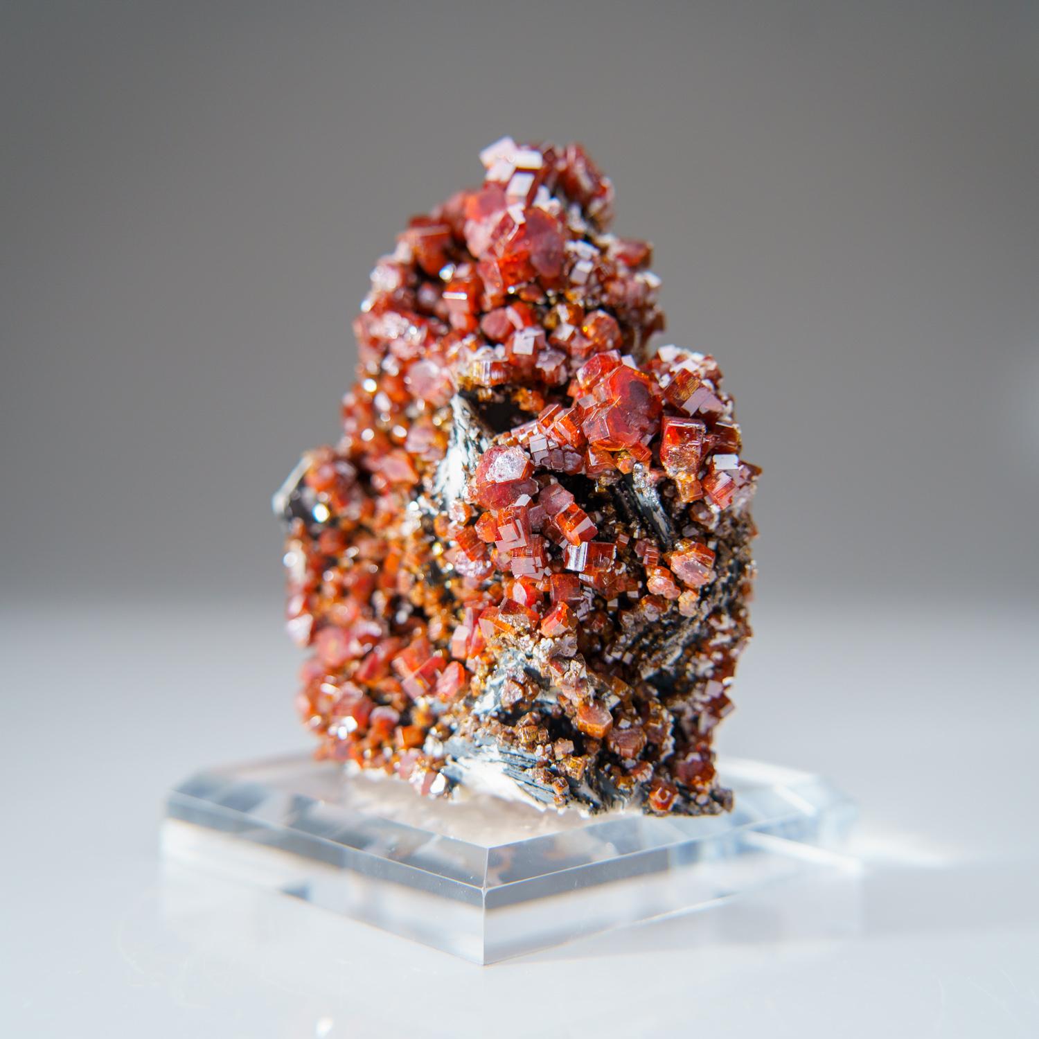Vanadinite Crystal Cluster on Matrix Khénifra Province, Morocco In New Condition For Sale In New York, NY