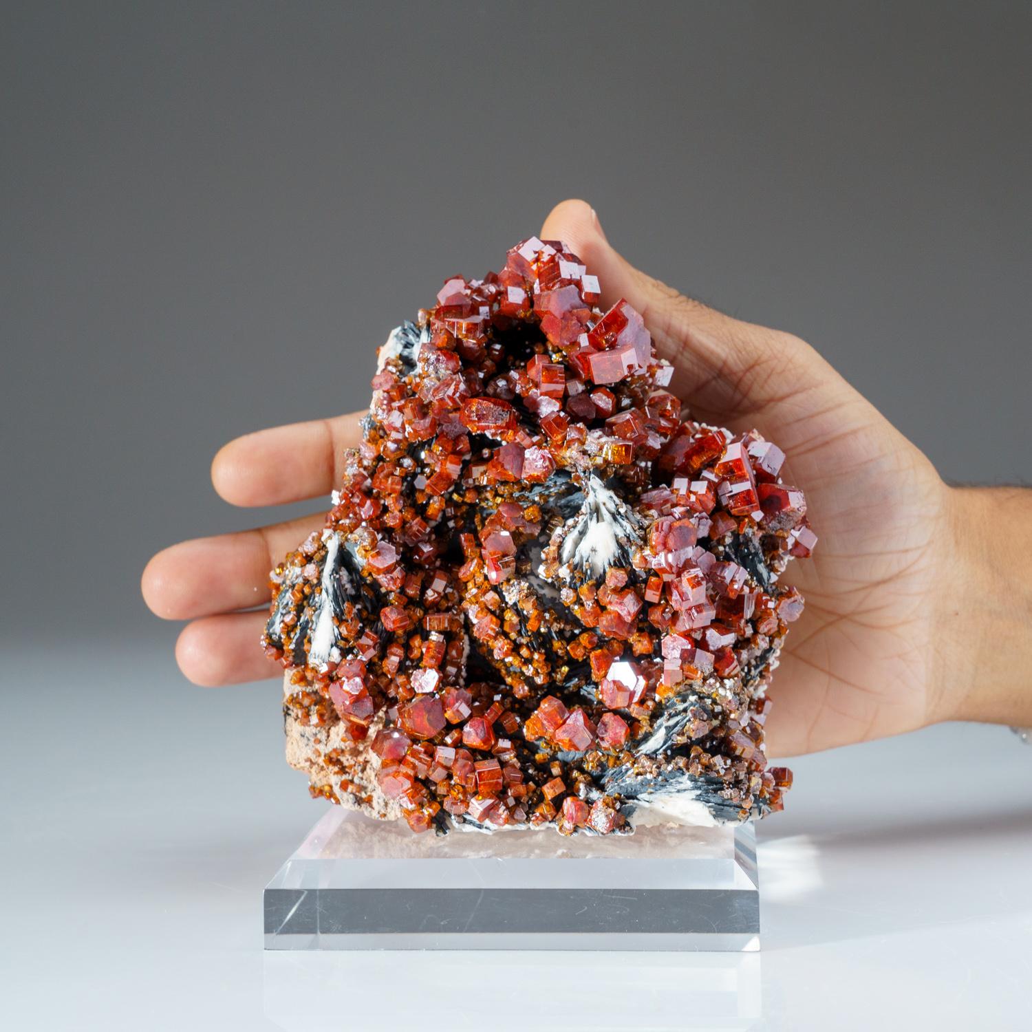 Other Vanadinite Crystal Cluster on Matrix Khénifra Province, Morocco For Sale