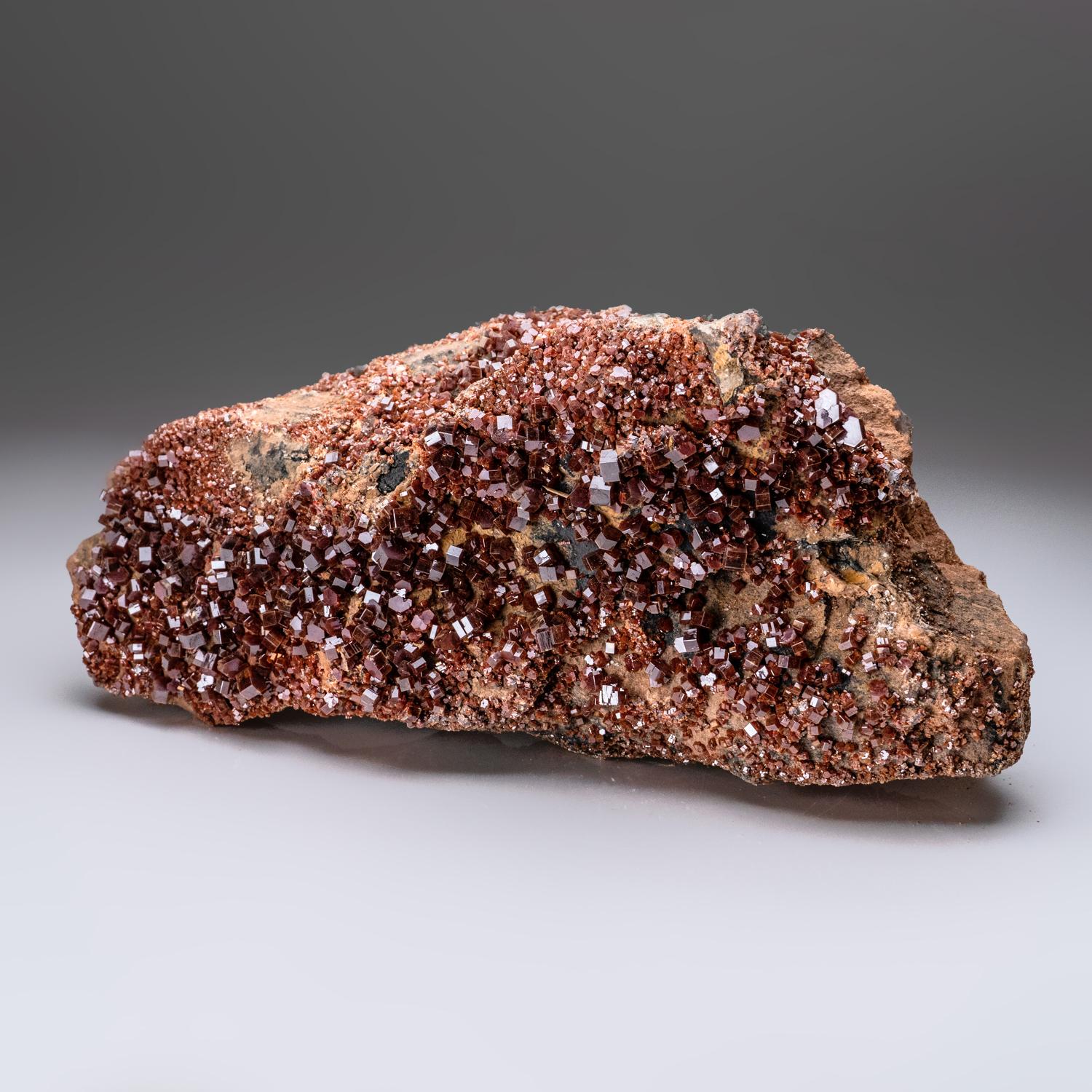 De Mibladen, montagnes de l'Atlas, province de Khénifra, Maroc

Exceptionnel amas de cristaux hexagonaux de vanadinites rouge vif. Ce spécimen présente un éclat vitreux avec de la barytine sur une matrice de Gossan brun. Grands cristaux bien définis
