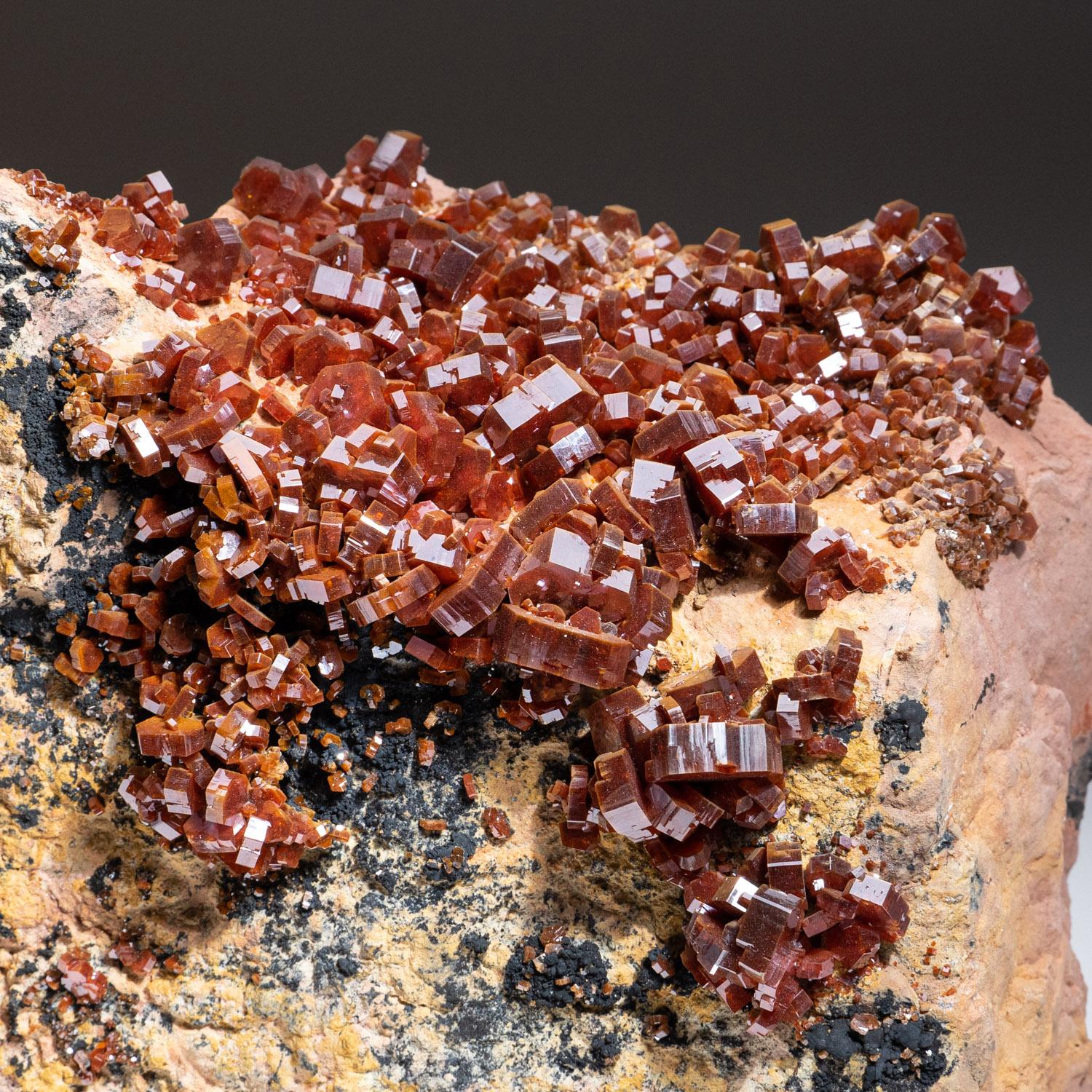 Vanadinite Crystal Cluster with Barite Matrix from Mibladen, Morocco In New Condition For Sale In New York, NY