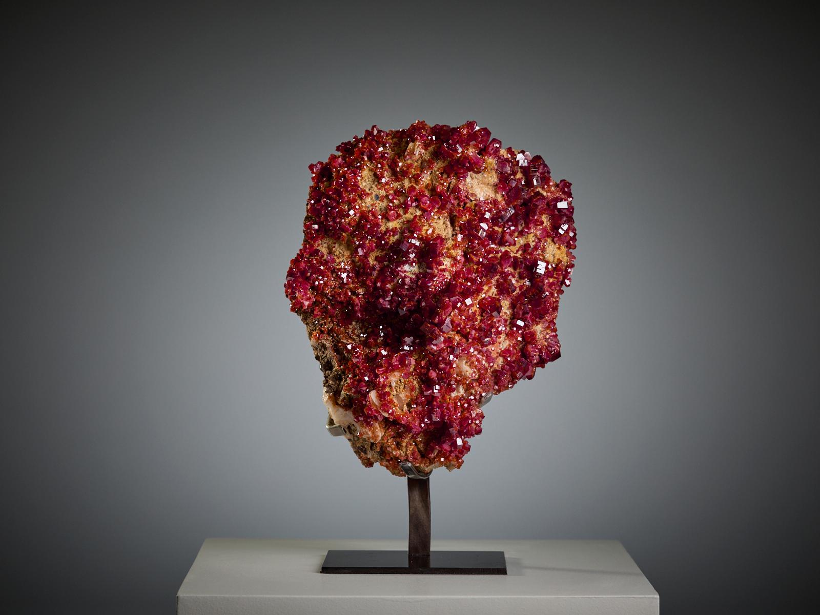 A striking specimen of vanadinite from Morocco, displaying an intense deep red colour and remarkable lustre. The surface is covered with brilliant, well-formed crystals of varying sizes, creating a dynamic and vibrant texture that captures the light