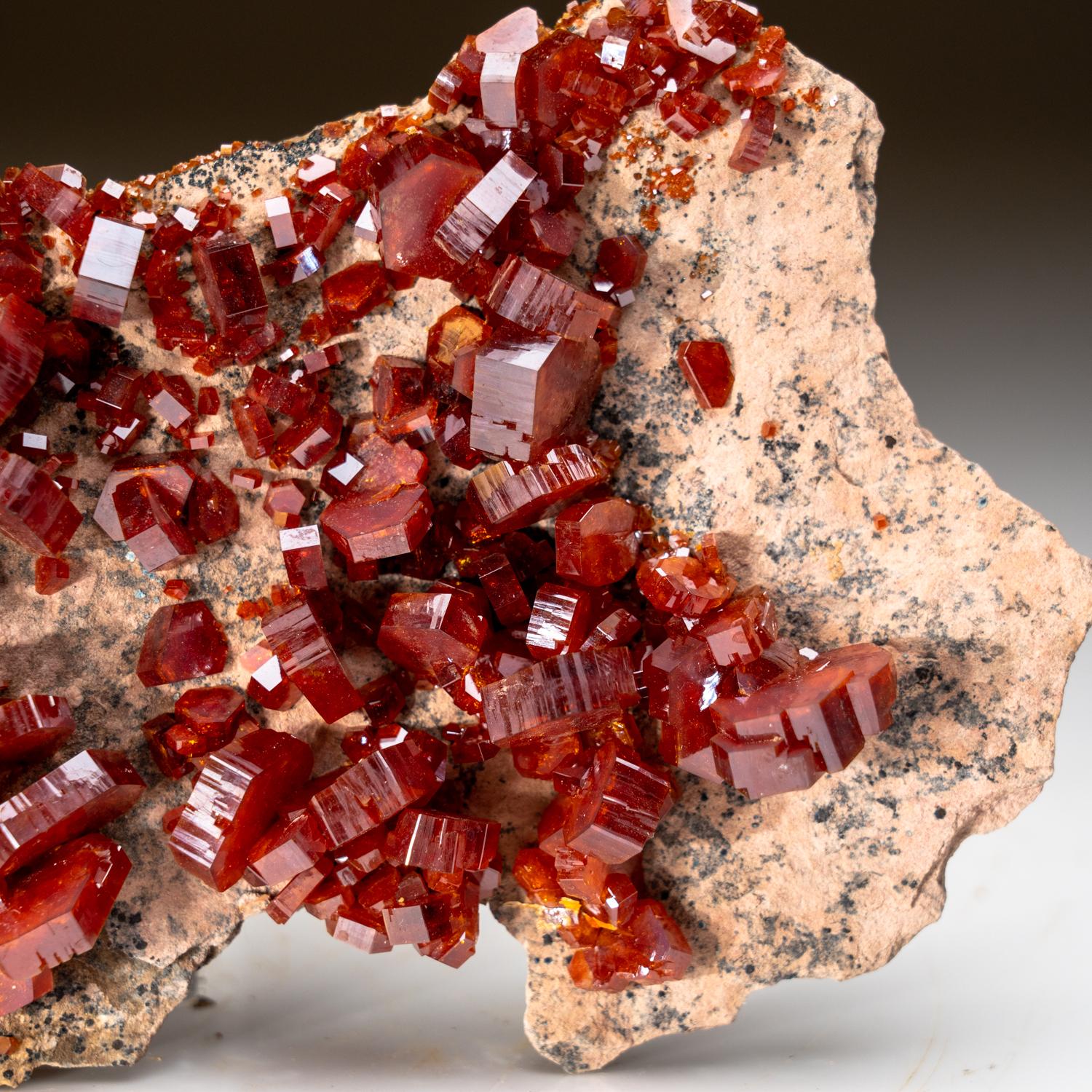 From Mibladen, Atlas Mountains, Khénifra Province, Morocco


Large specimen of lustrous translucent red hexagonal vanadinite crystals in a complex intersecting formation on gossan matrix.

 

279.19 grams, 6 x 1.5 x 4 inches