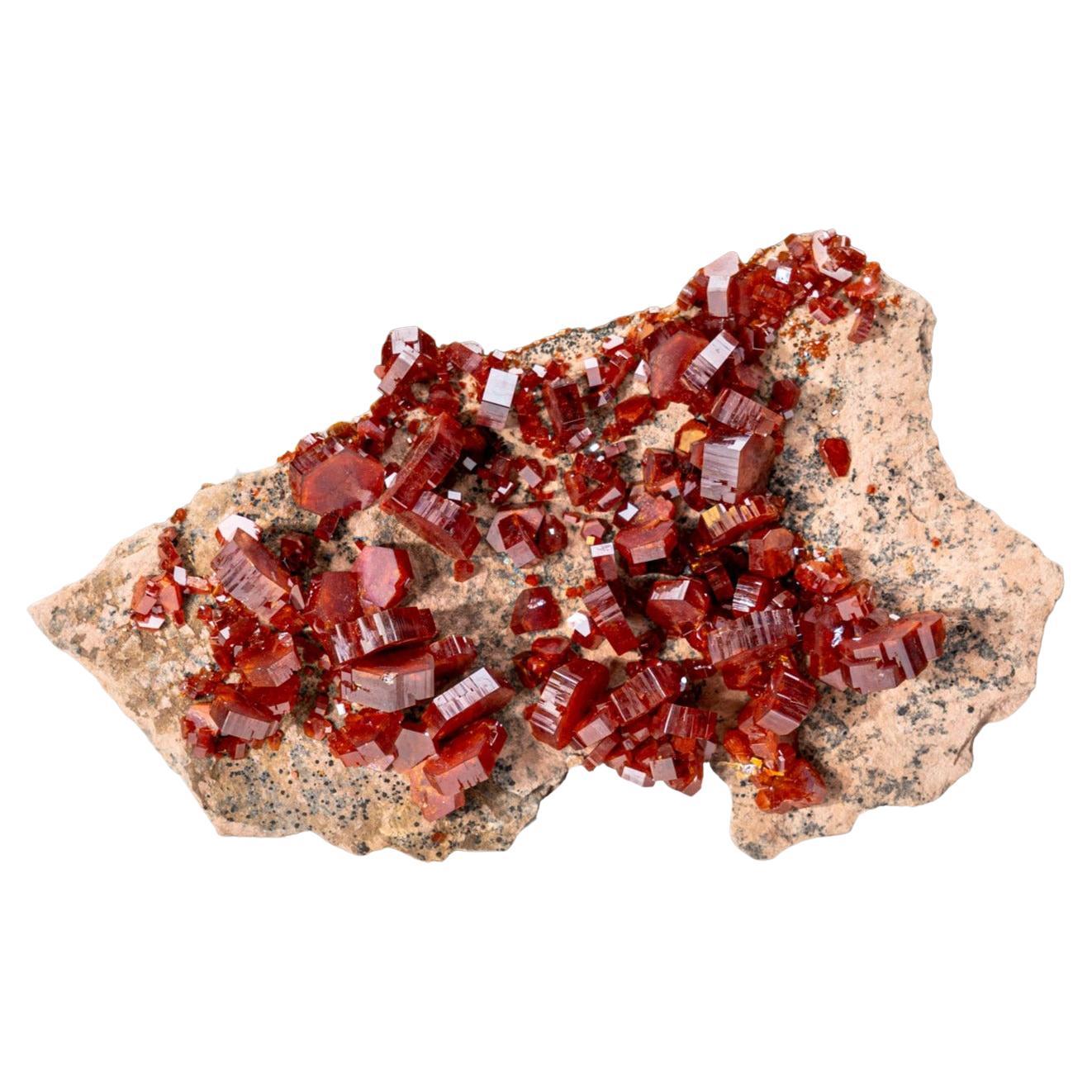 Vanadinite sur matrice De Mibladen, Atlas, Province de Khénifra, Maroc