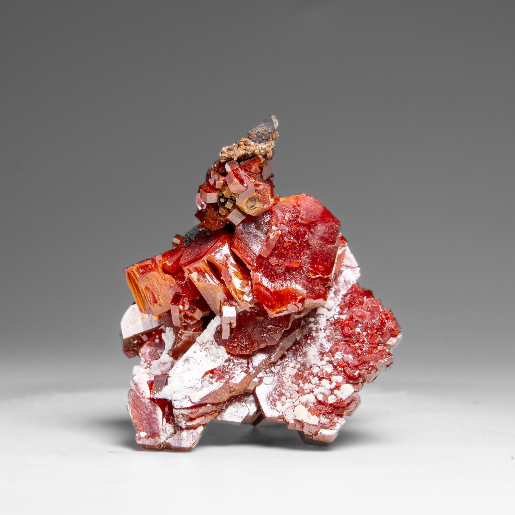 Marocain Amas de cristaux de vanadinite (croissance hoppée parallèle) du Maroc (146. grammes) en vente