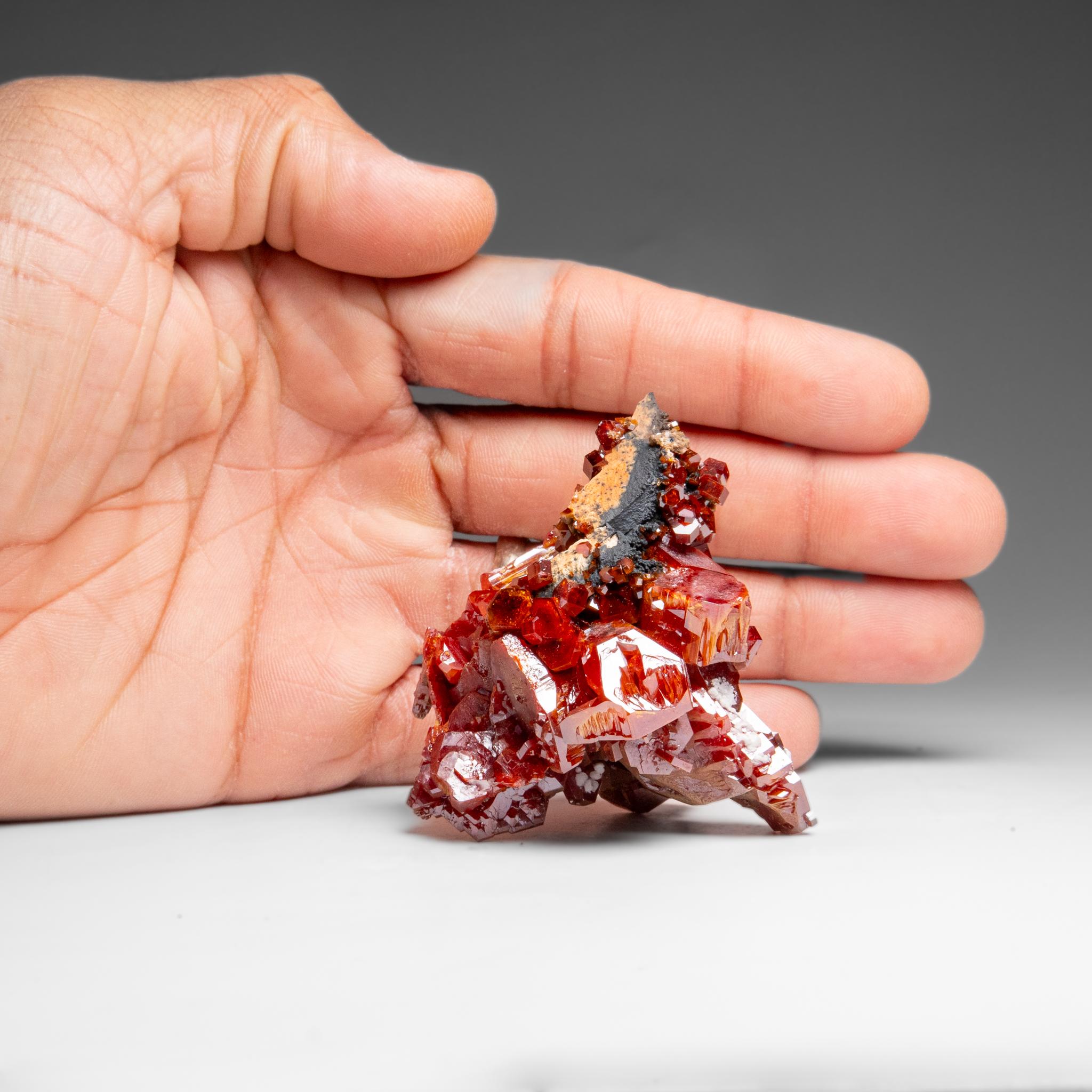 Amas de cristaux de vanadinite (croissance hopp�ée parallèle) du Maroc (146. grammes) Neuf - En vente à New York, NY