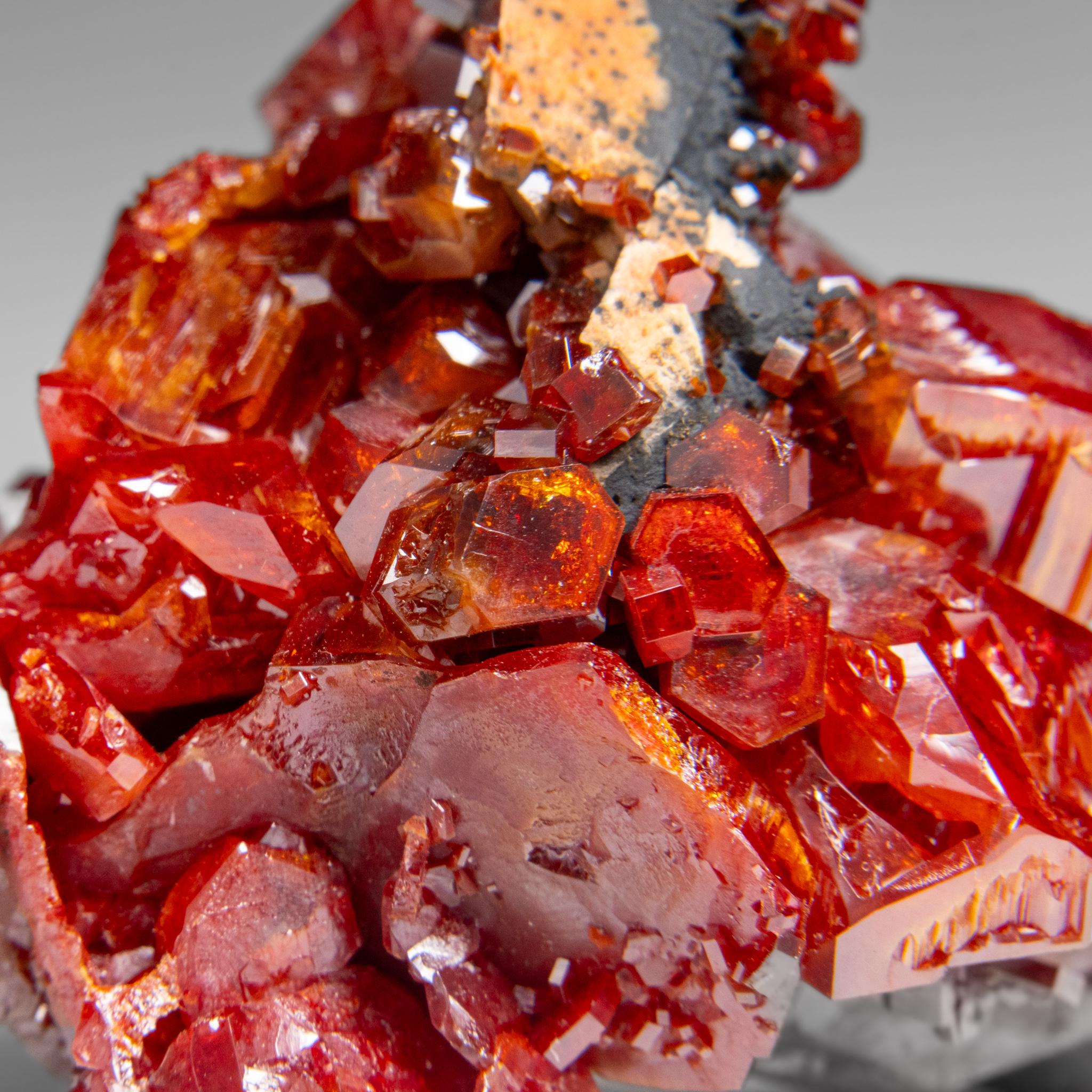 Amas de cristaux de vanadinite (croissance hoppée parallèle) du Maroc (146. grammes) en vente 1