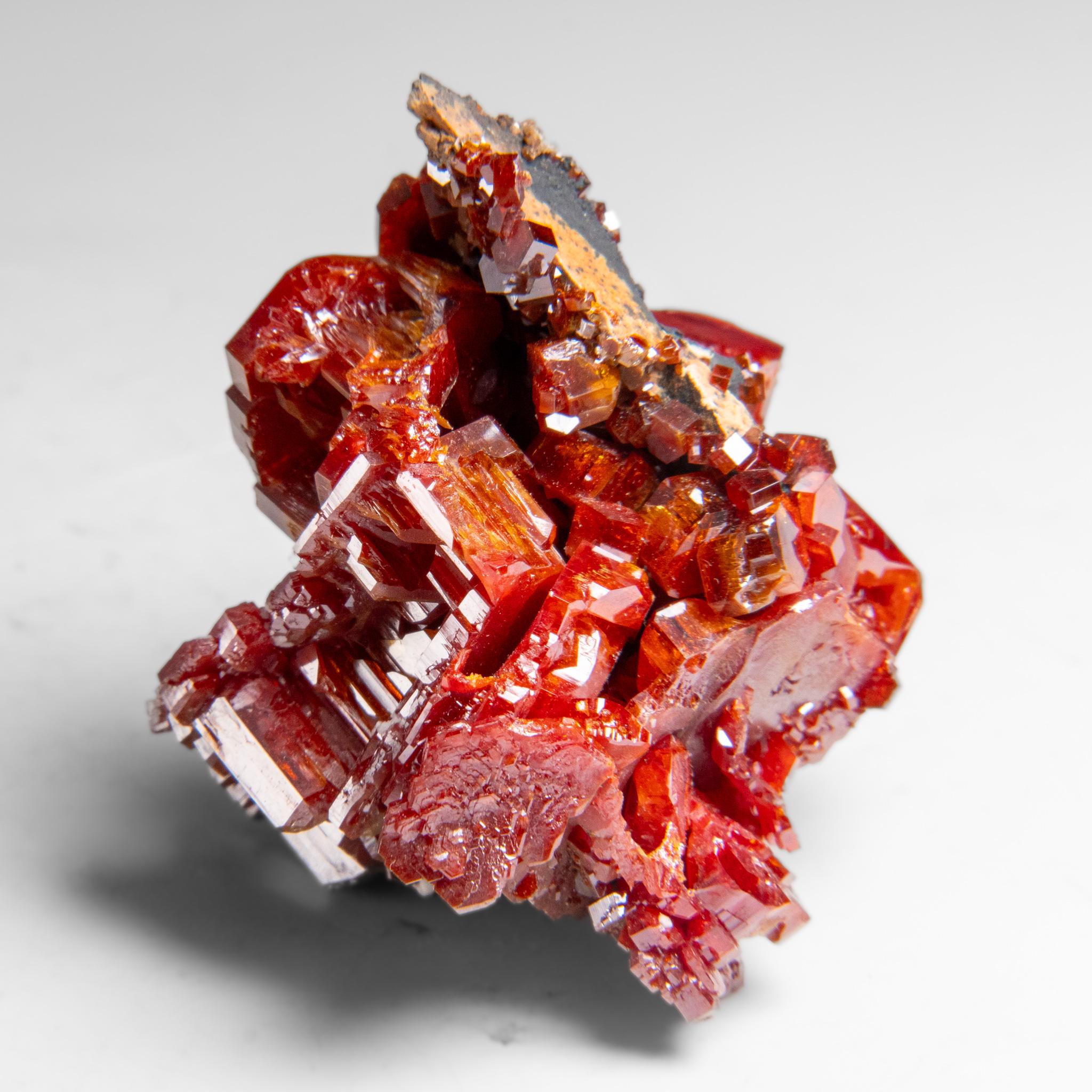 Amas de cristaux de vanadinite (croissance hoppée parallèle) du Maroc (146. grammes) en vente 3