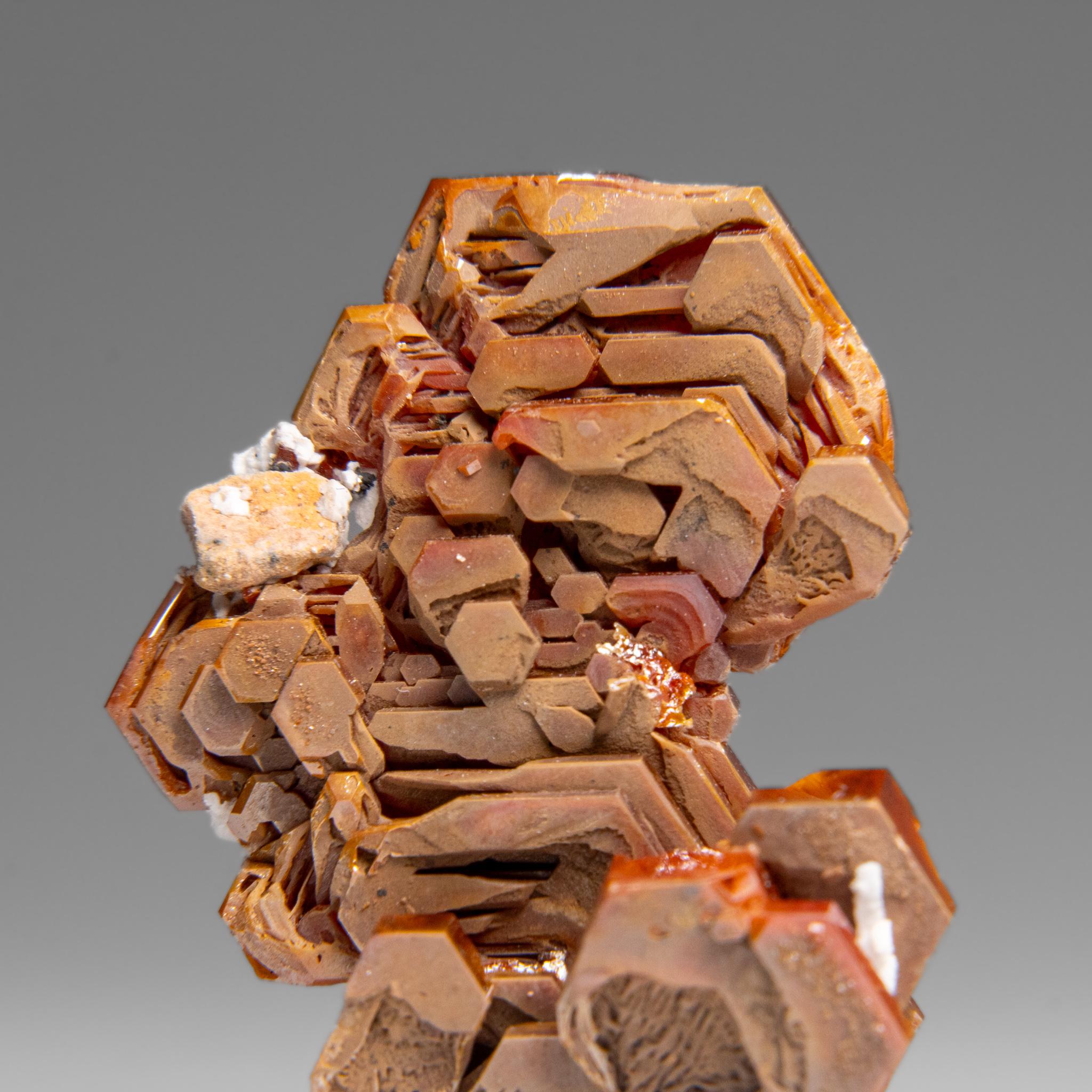 From Mibladen, Atlas Mountains, Khénifra Province, Morocco.

Here is an exceptional world class specimen of a cluster of hexagonal crystals of bright red Vanadinites with glassy luster on barite matrix. Well defined undamaged crystals, fully