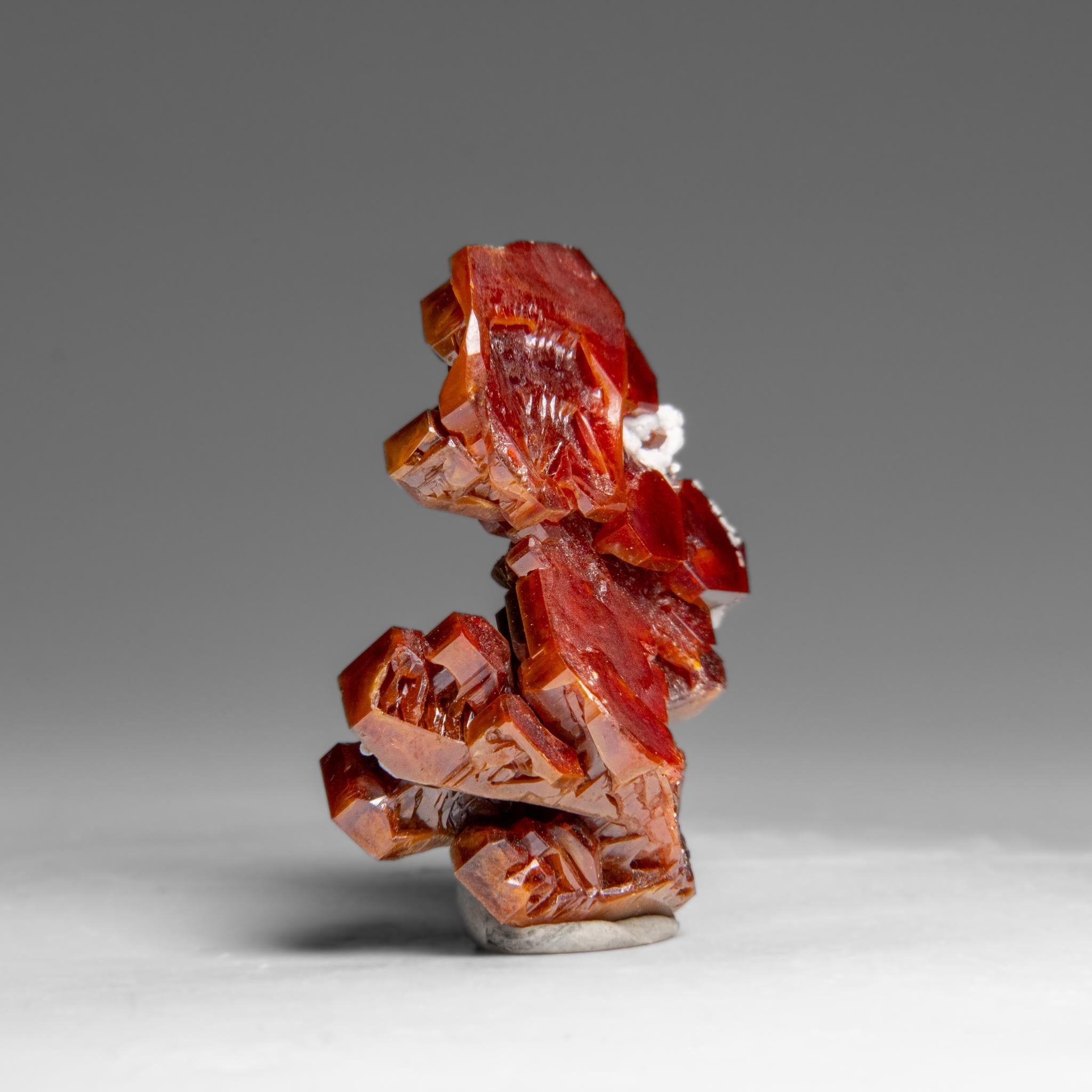 Vanadinite (Parallel Hoppered Growth) Crystal Cluster from Morocco (29.1 grams) In New Condition For Sale In New York, NY