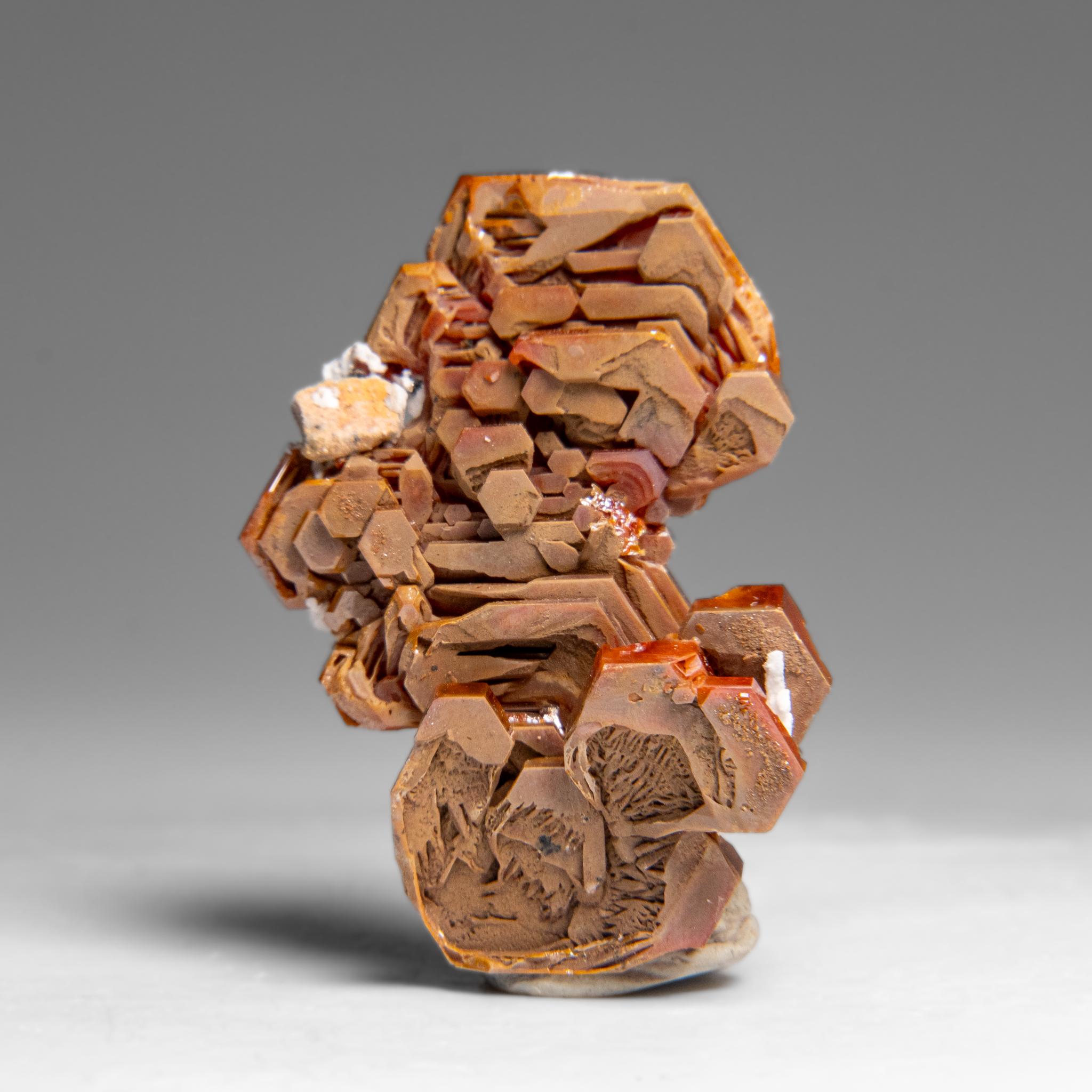 Other Vanadinite (Parallel Hoppered Growth) Crystal Cluster from Morocco (29.1 grams) For Sale