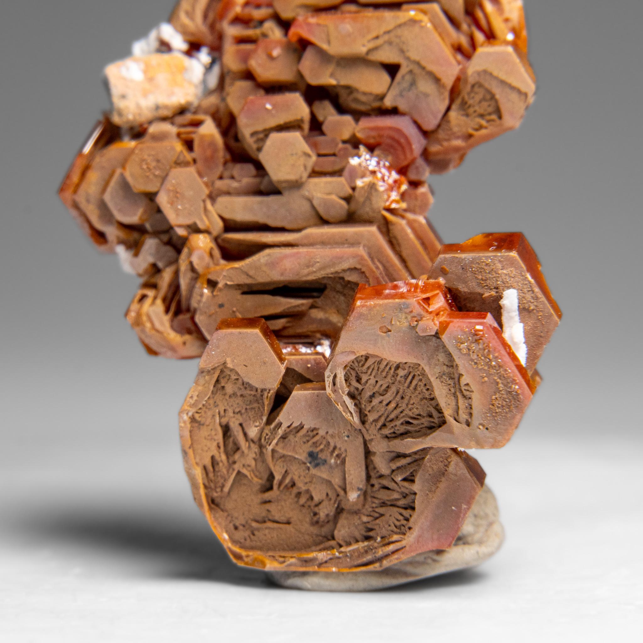 Vanadinite (Parallel Hoppered Growth) Crystal Cluster from Morocco (29.1 grams) For Sale 2