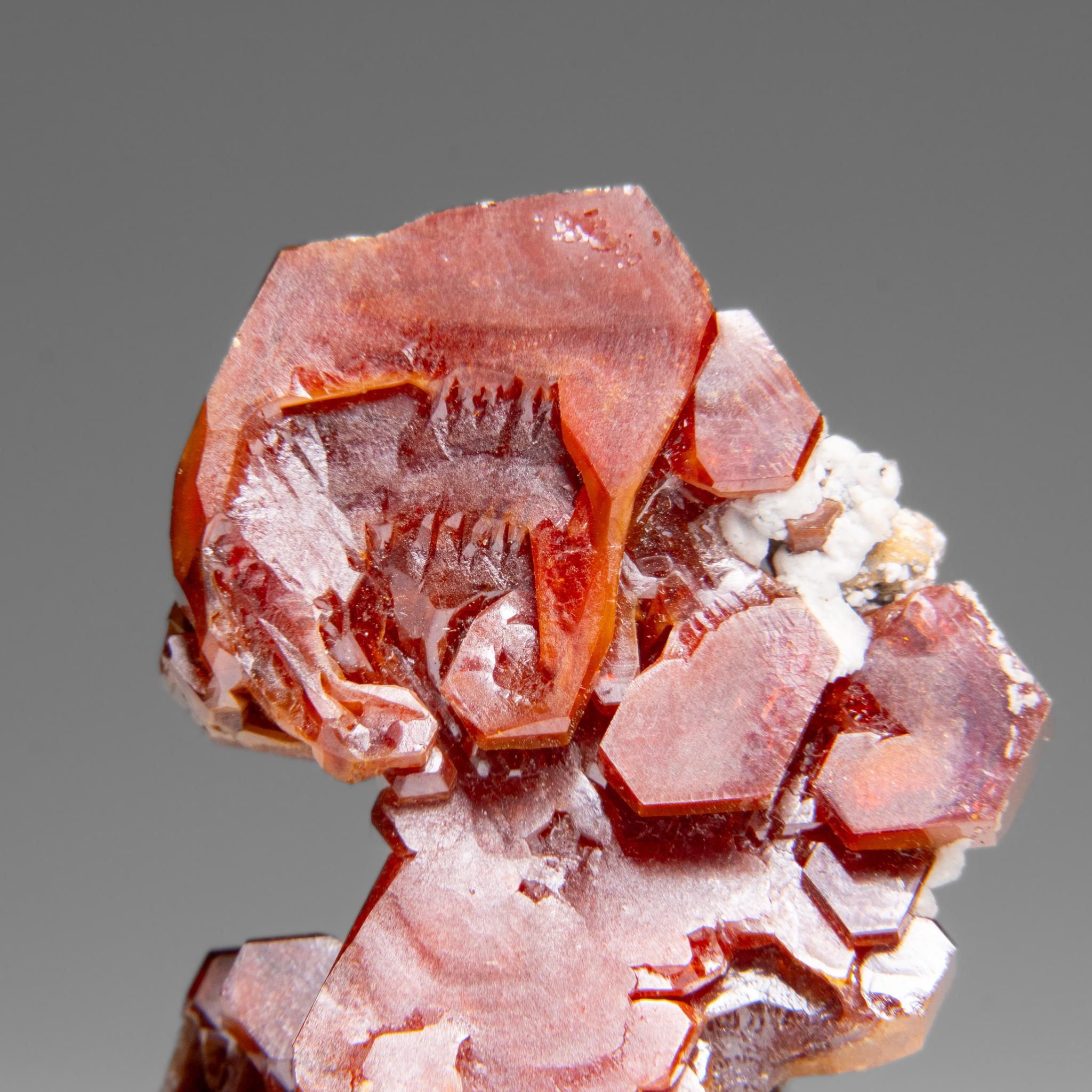 Vanadinite (Parallel Hoppered Growth) Crystal Cluster from Morocco (29.1 grams) For Sale 3