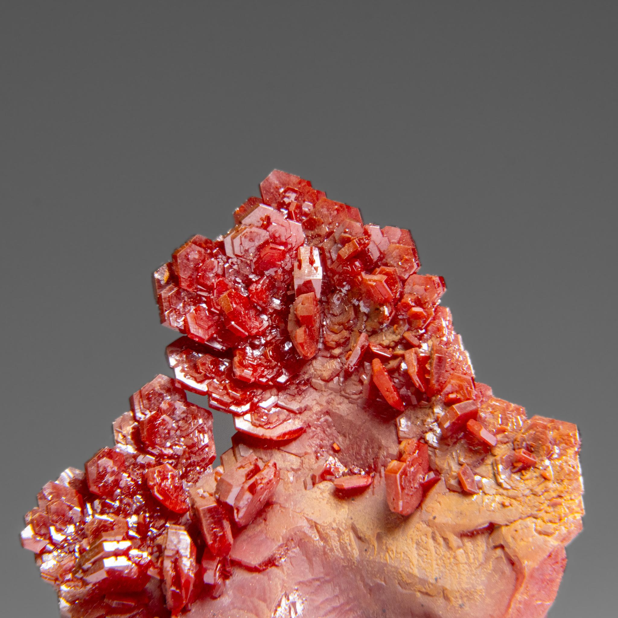 From Mibladen, Atlas Mountains, Khénifra Province, Morocco.

 Here is an exceptional world class specimen of a cluster of hexagonal crystals of bright red Vanadinites with glassy luster on matrix. Large well defined undamaged crystals, fully