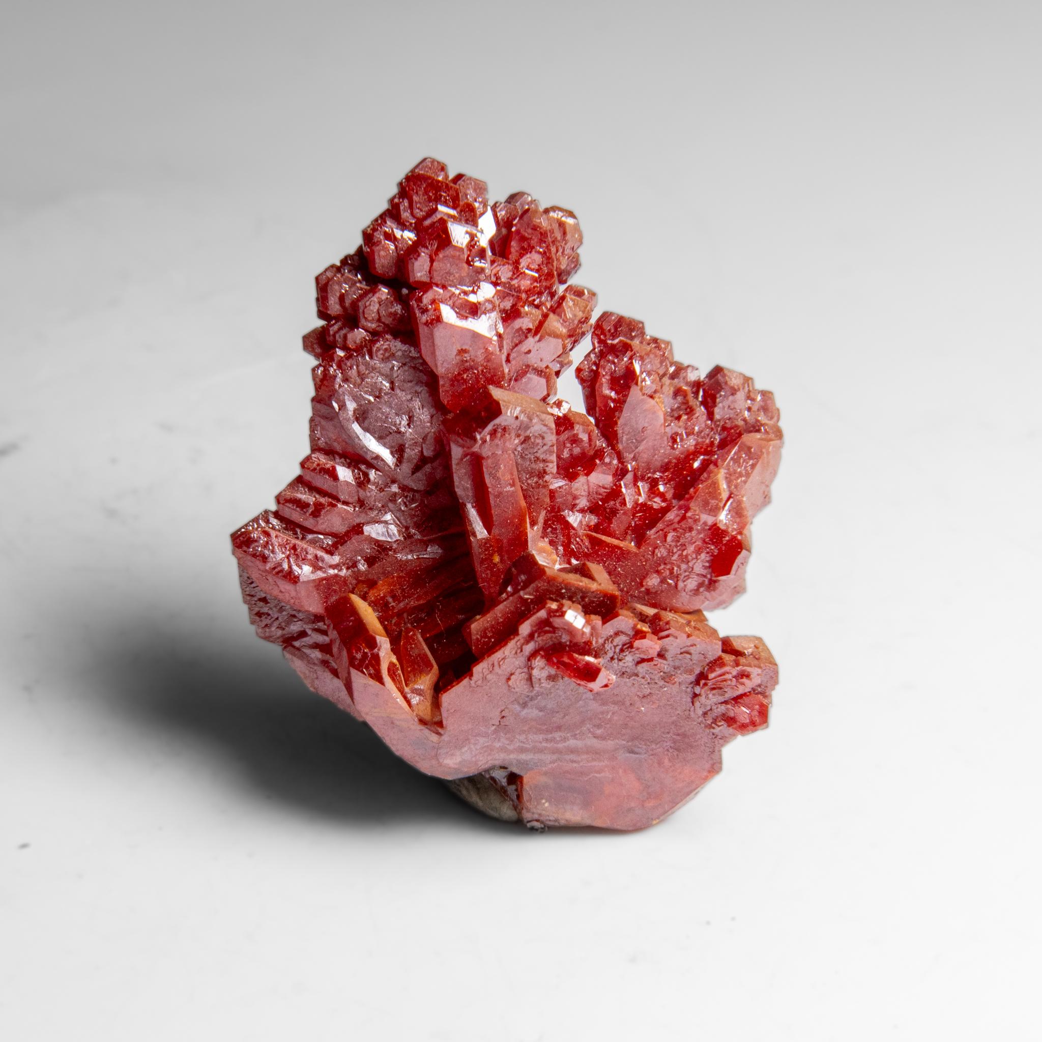 Moroccan Vanadinite (Parallel Hoppered Growth) Crystal Cluster from Morocco (41.7 grams) For Sale