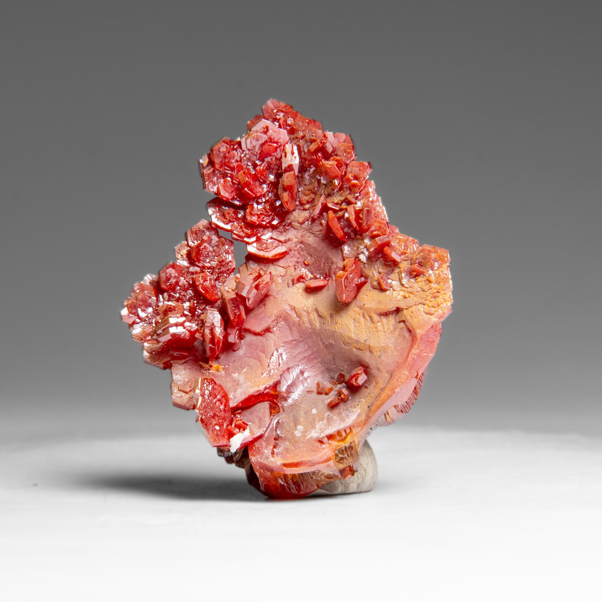 Vanadinite (Parallel Hoppered Growth) Crystal Cluster from Morocco (41.7 grams) In New Condition For Sale In New York, NY