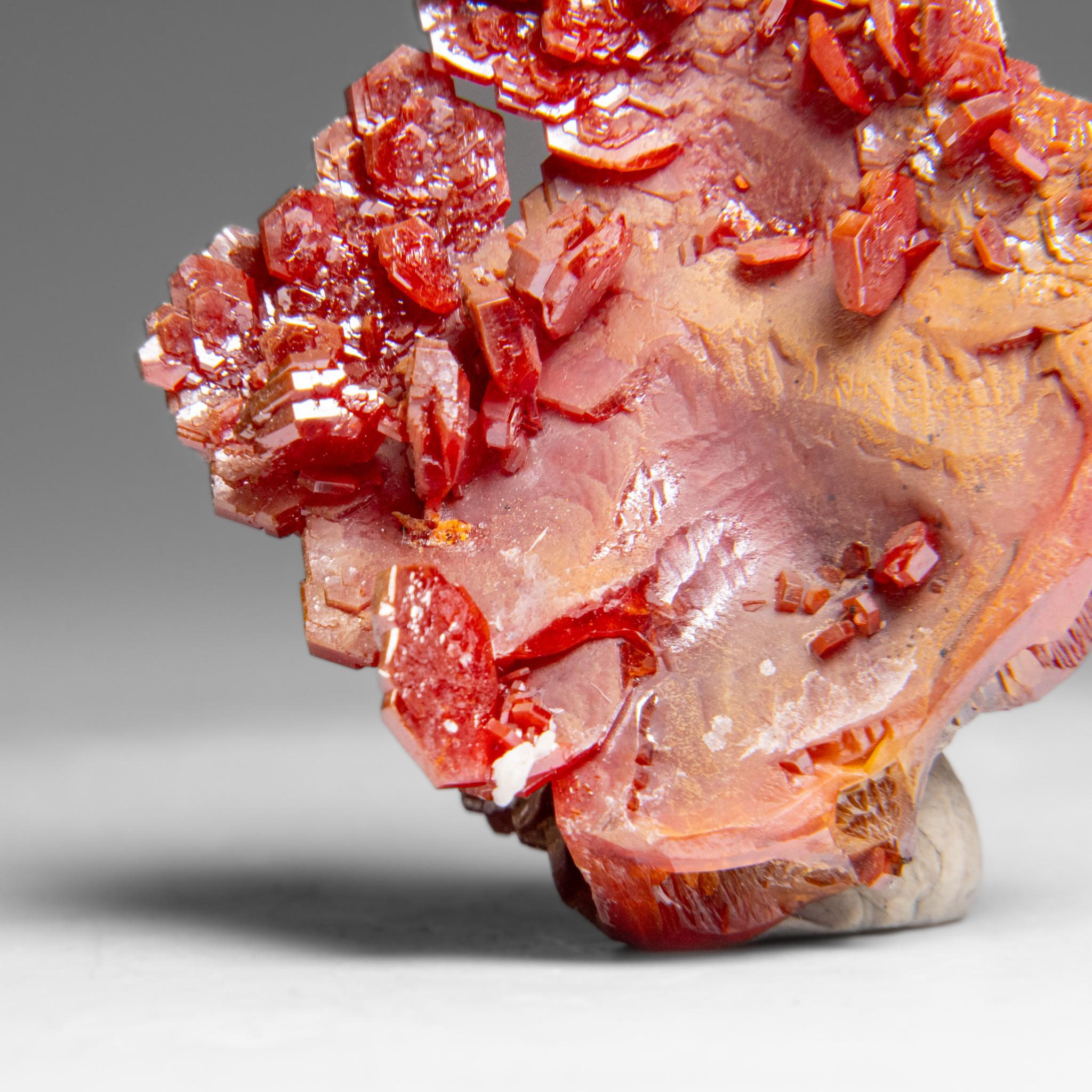 Contemporary Vanadinite (Parallel Hoppered Growth) Crystal Cluster from Morocco (41.7 grams) For Sale