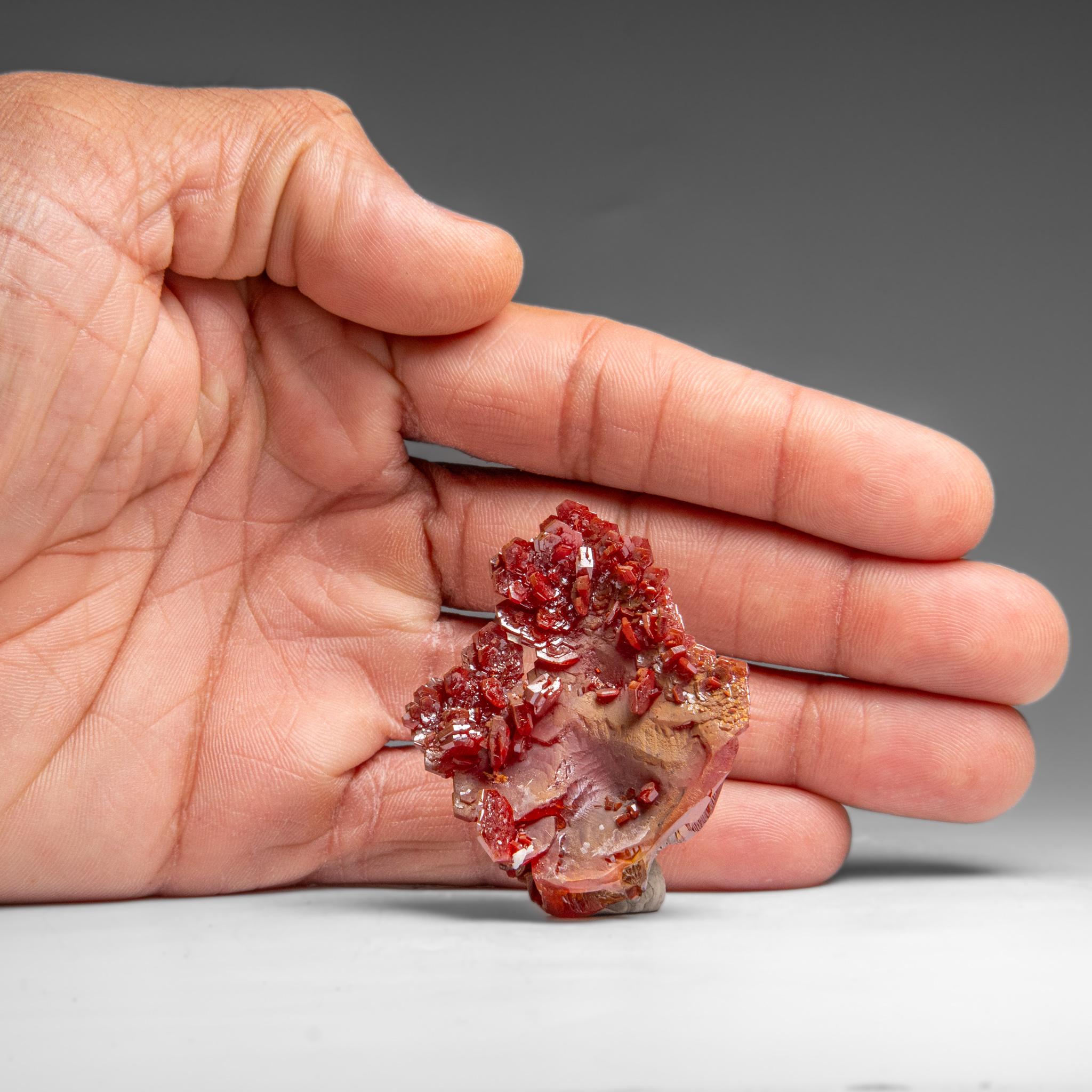 Other Vanadinite (Parallel Hoppered Growth) Crystal Cluster from Morocco (41.7 grams) For Sale