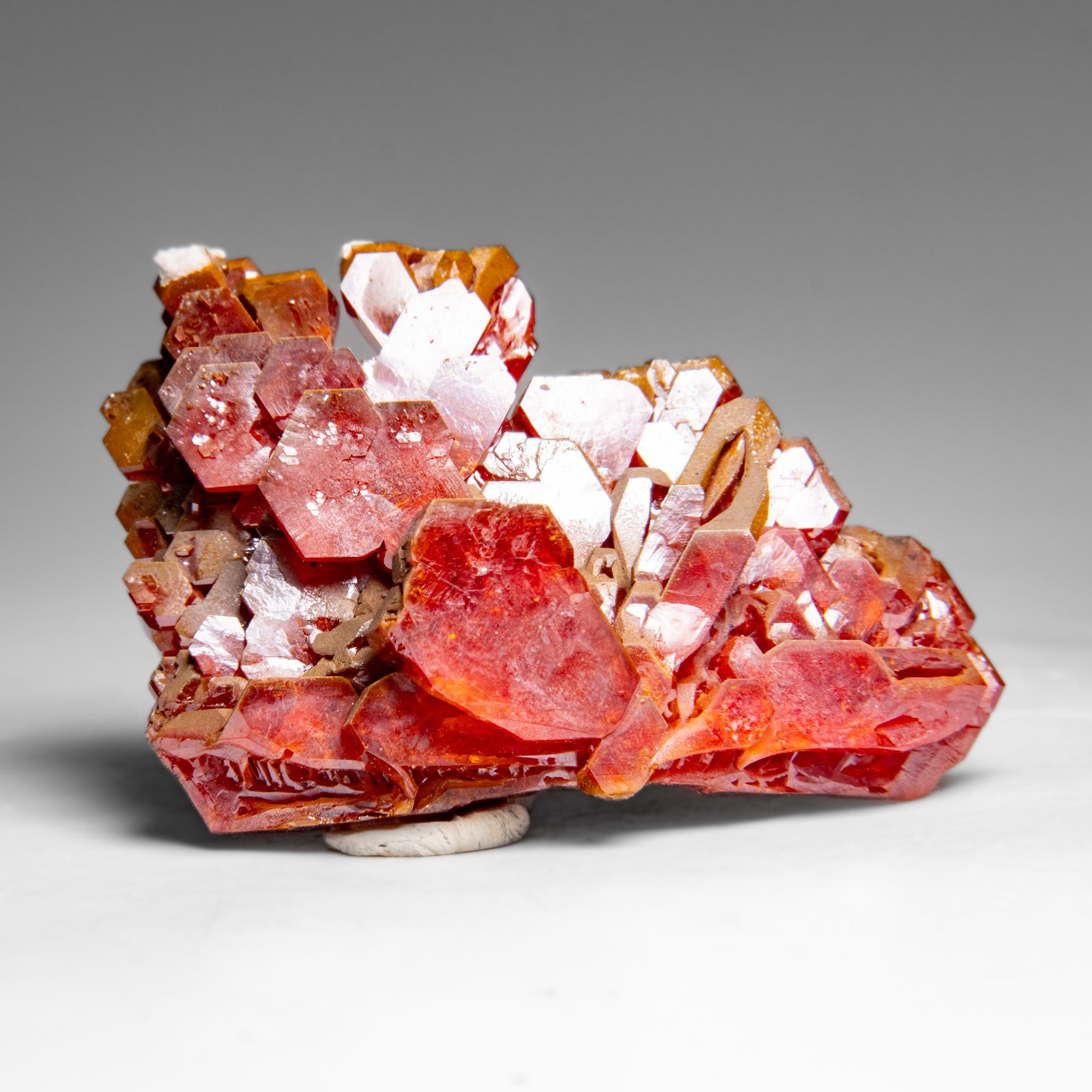 From Mibladen, Atlas Mountains, Khénifra Province, Morocco.

 Here is an exceptional world class specimen of a cluster of hexagonal crystals of bright red Vanadinites with glassy luster on matrix. Large well defined undamaged crystals, fully