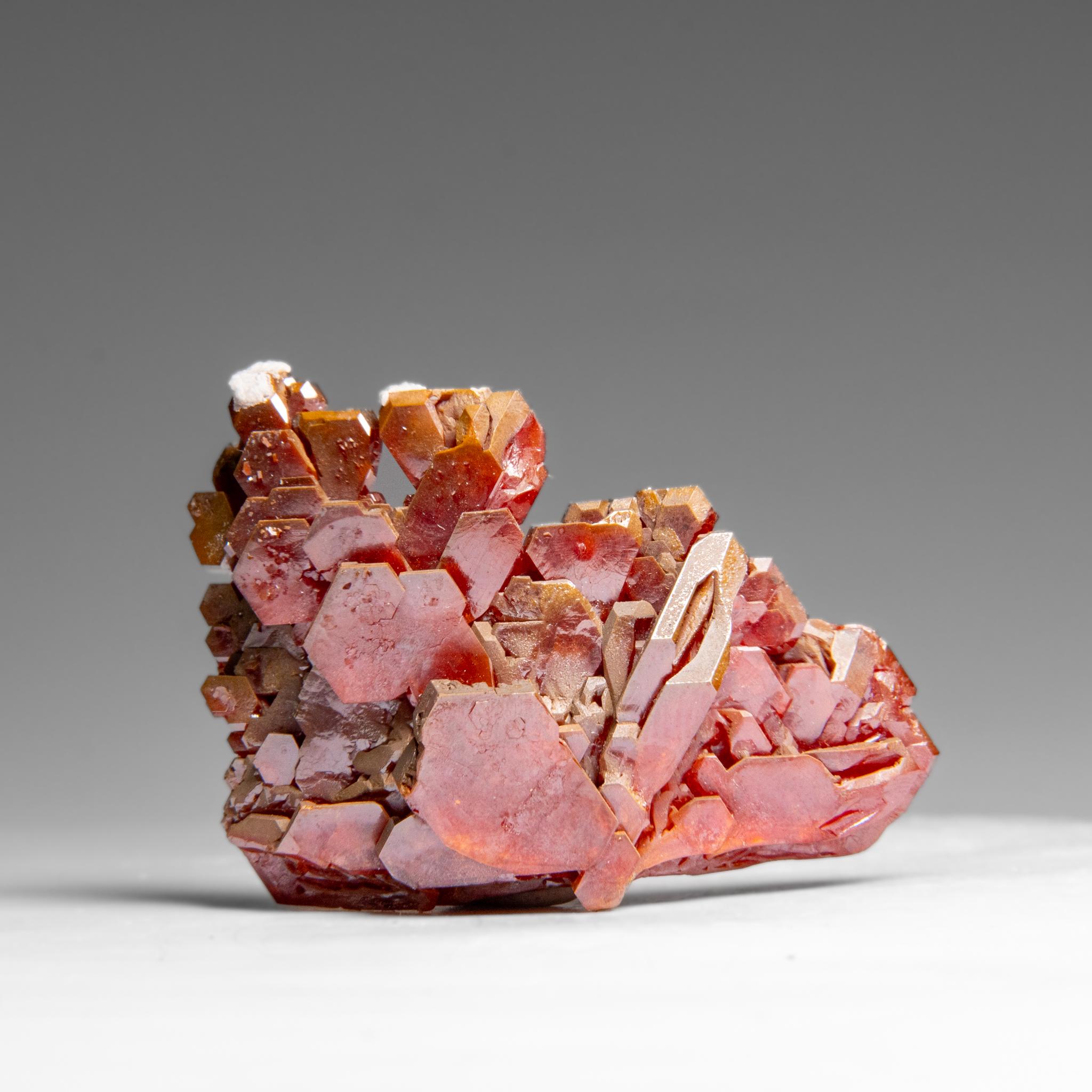Moroccan Vanadinite (Parallel Hoppered Growth) Crystal Cluster from Morocco (47.4 grams) For Sale
