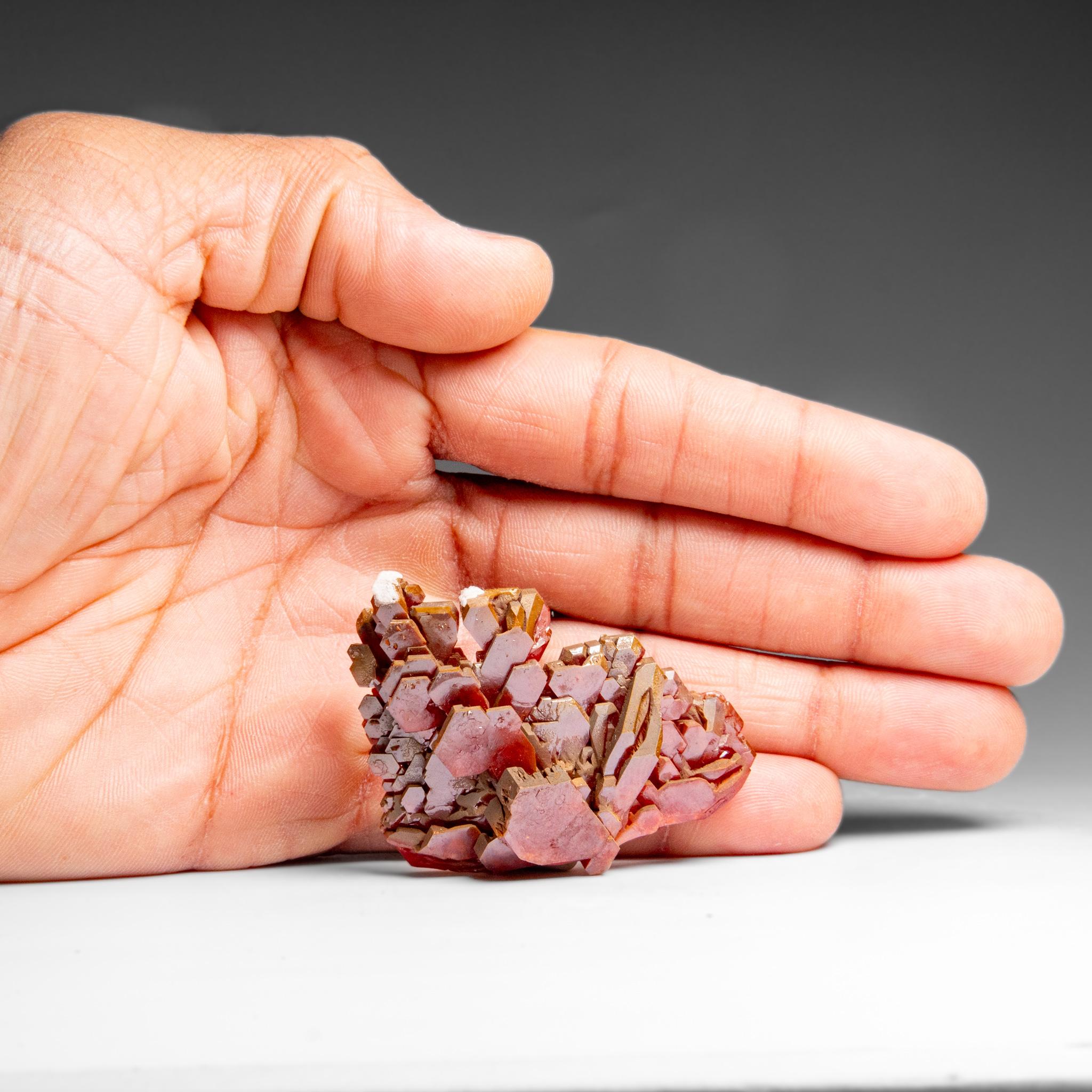 Vanadinite (Parallel Hoppered Growth) Crystal Cluster from Morocco (47.4 grams) For Sale 2