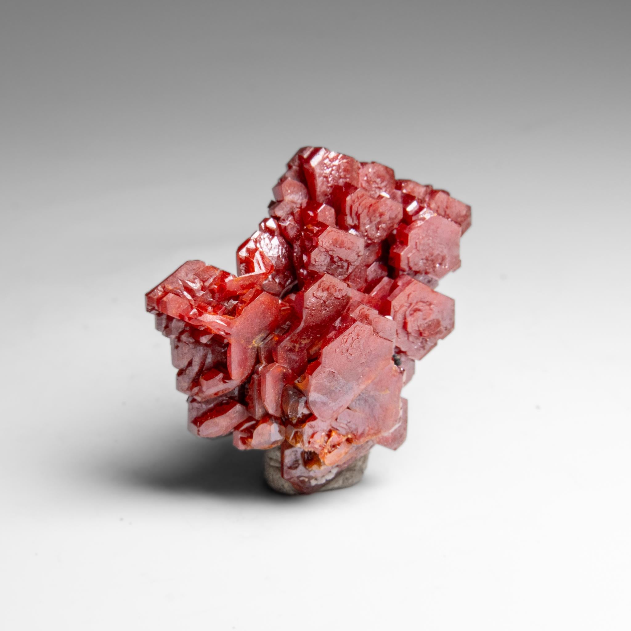 Marocain Amas de cristaux de vanadinite (Croissance Hoppée Parallèle) du Maroc (65.3 grammes) en vente