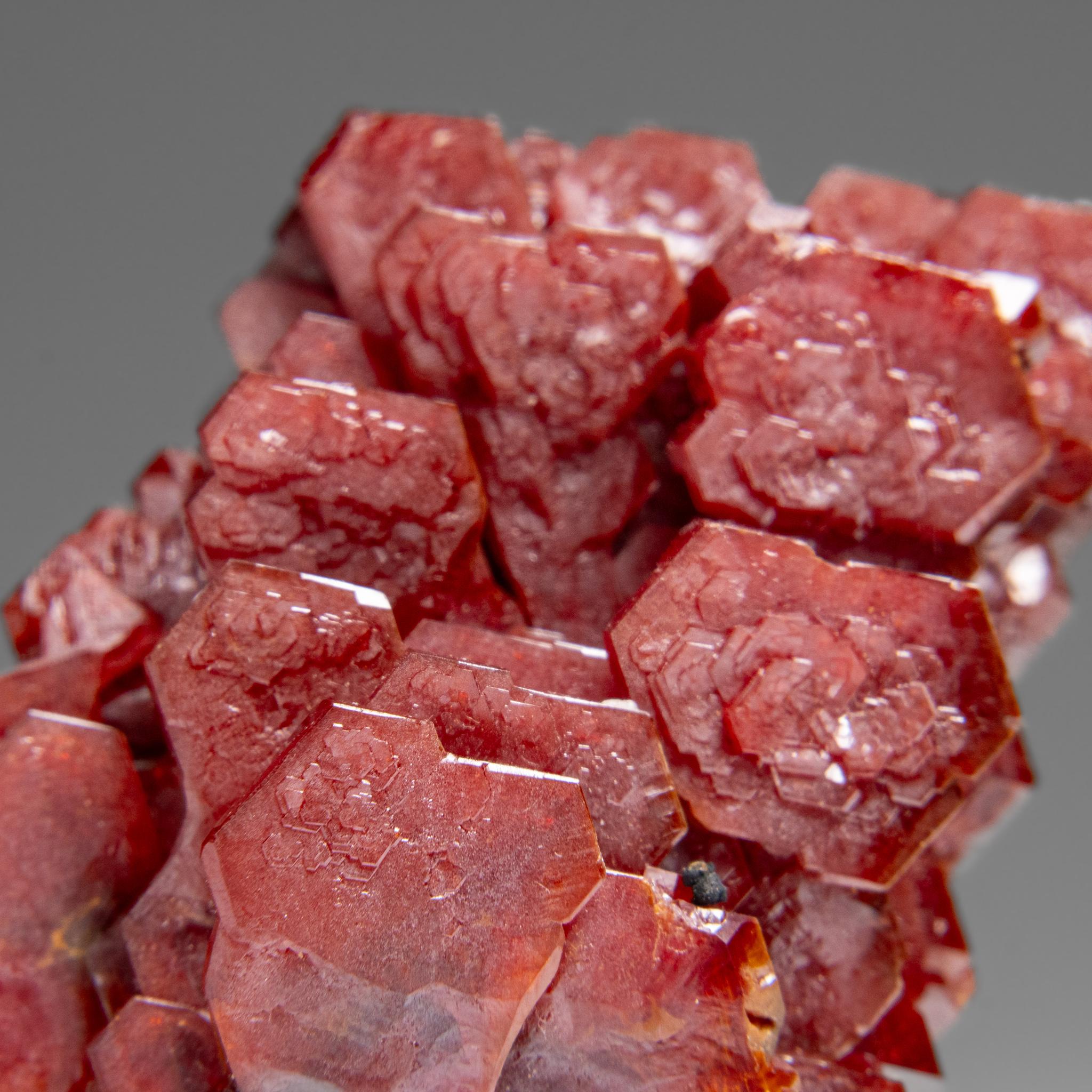 XXIe siècle et contemporain Amas de cristaux de vanadinite (Croissance Hoppée Parallèle) du Maroc (65.3 grammes) en vente