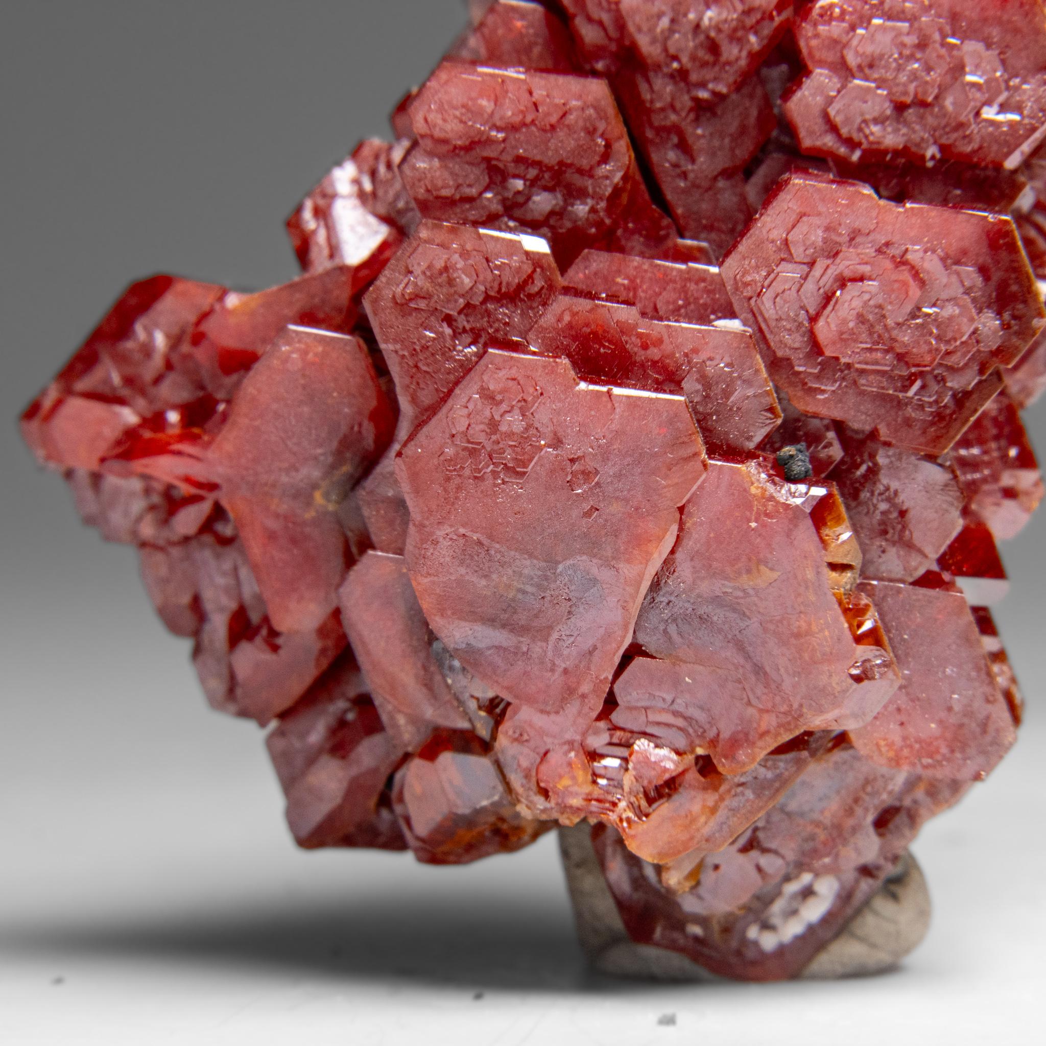 Autre Amas de cristaux de vanadinite (Croissance Hoppée Parallèle) du Maroc (65.3 grammes) en vente