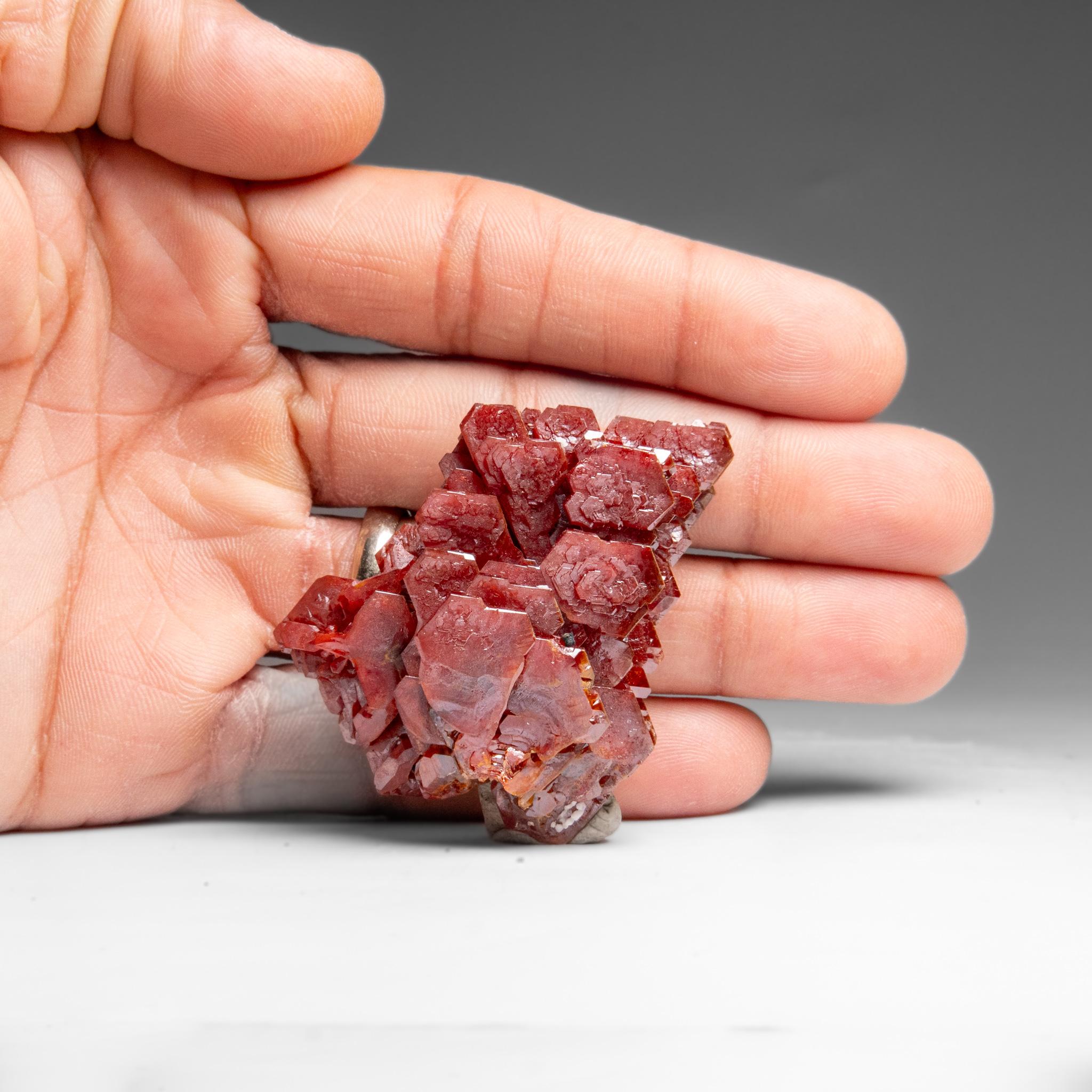 Amas de cristaux de vanadinite (Croissance Hoppée Parallèle) du Maroc (65.3 grammes) en vente 1