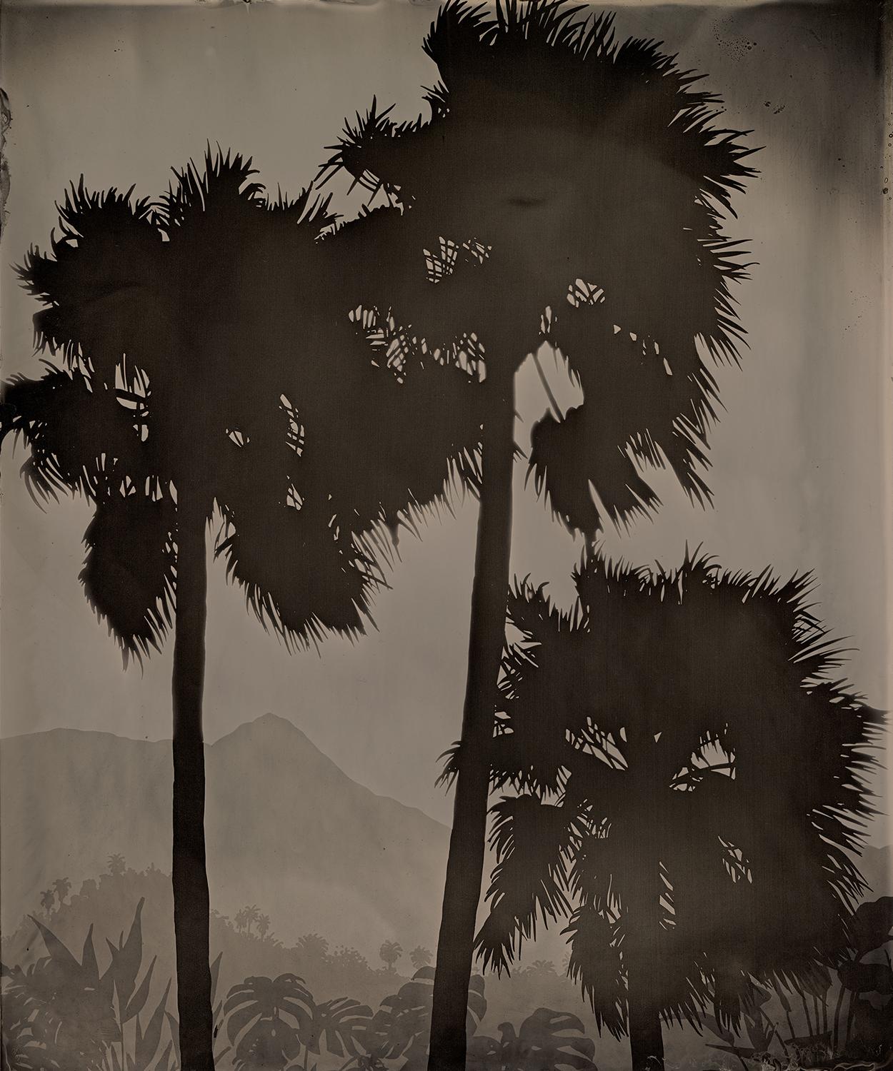 Vanessa Marsh Landscape Photograph - Palm Springs 10