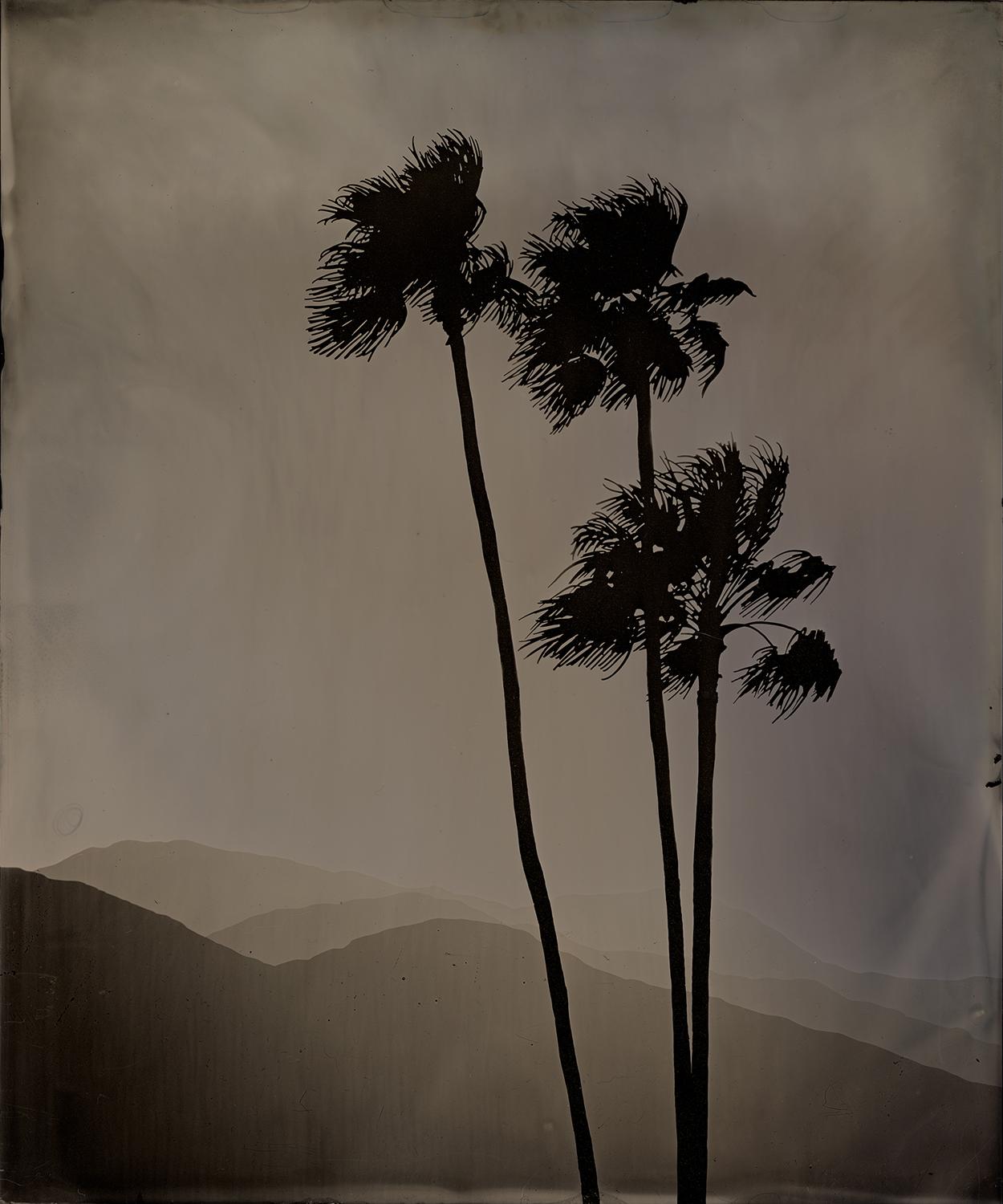 Vanessa Marsh Black and White Photograph - Palm Springs 13