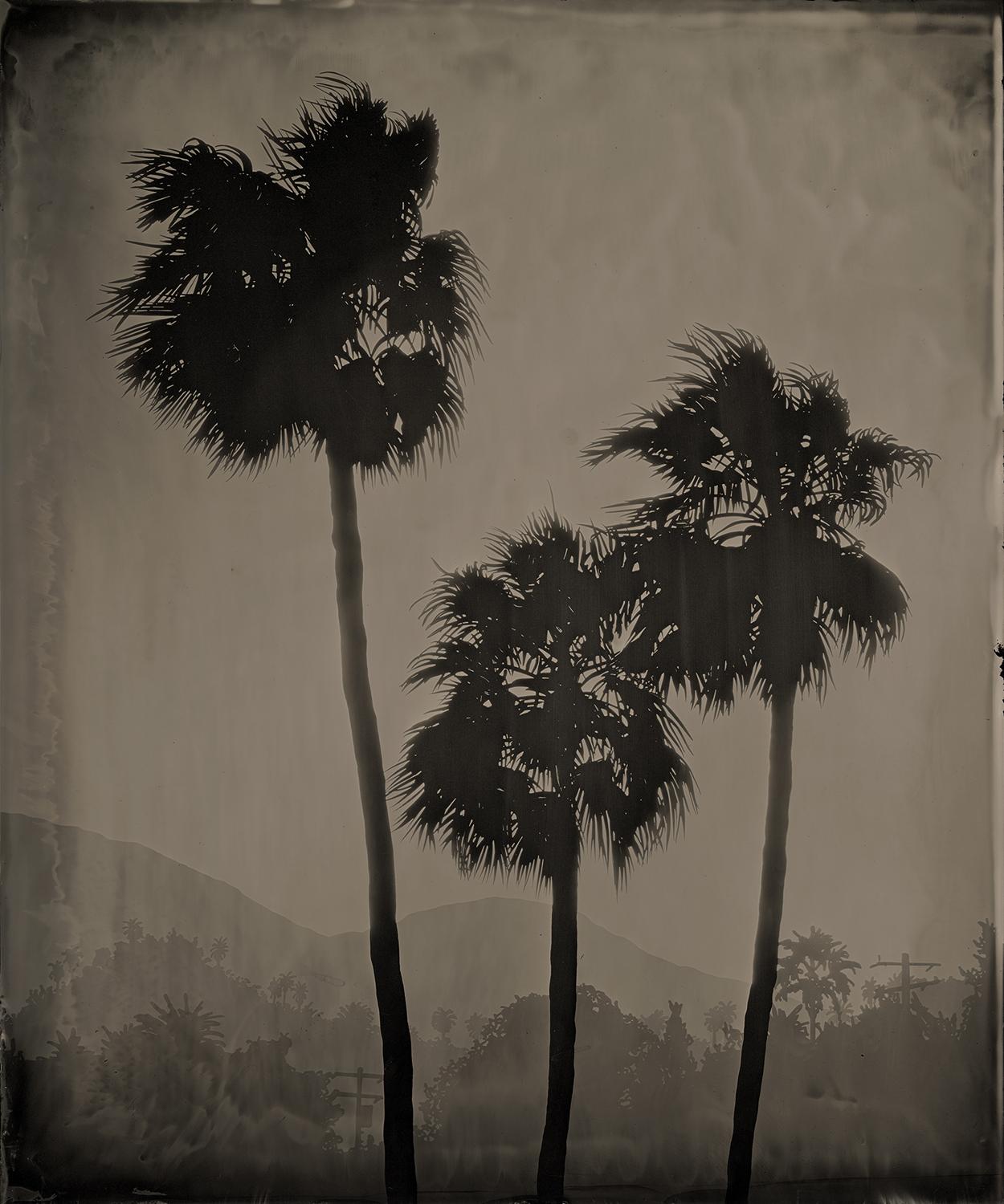 Vanessa Marsh Black and White Photograph - Palm Springs 8