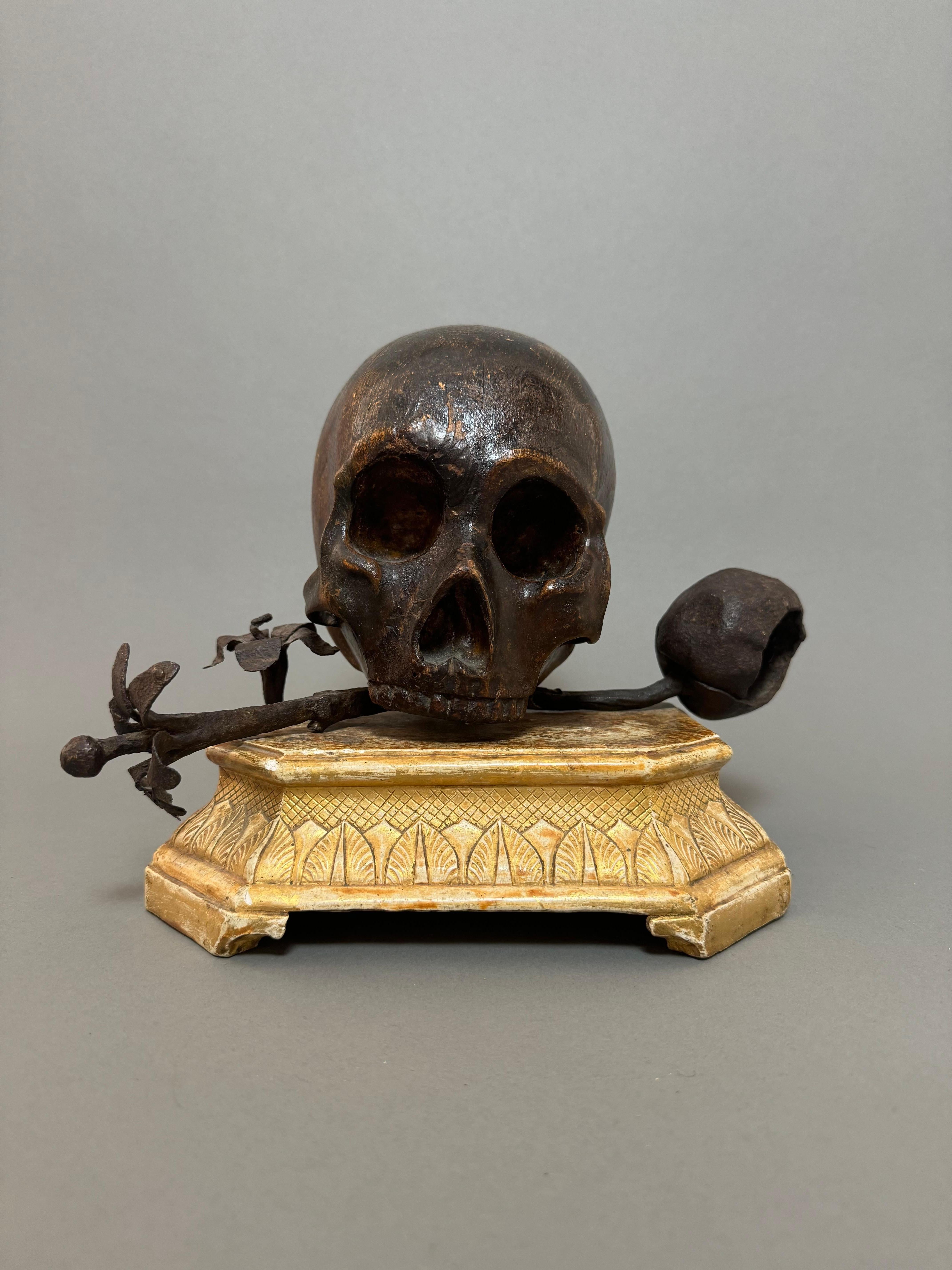 Questa rappresentazione di Vanitas del XVII è utilizzata come monito sulla mortalità umana e la transitorietà della vita. Il teschio è un elemento centrale in questo tipo di  rappresentazioni, come se volesse ricordare la caducità dell'esistenza