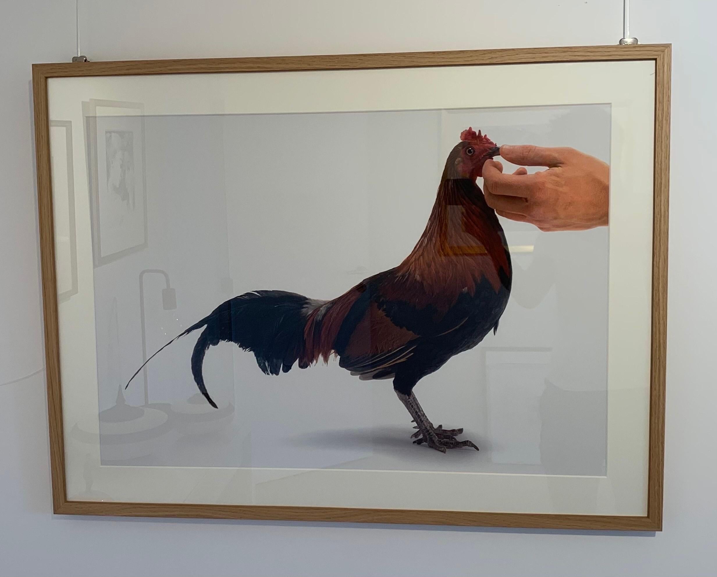 Vanmechelen Koen Animal Print - Feeding Chicken Lithograph