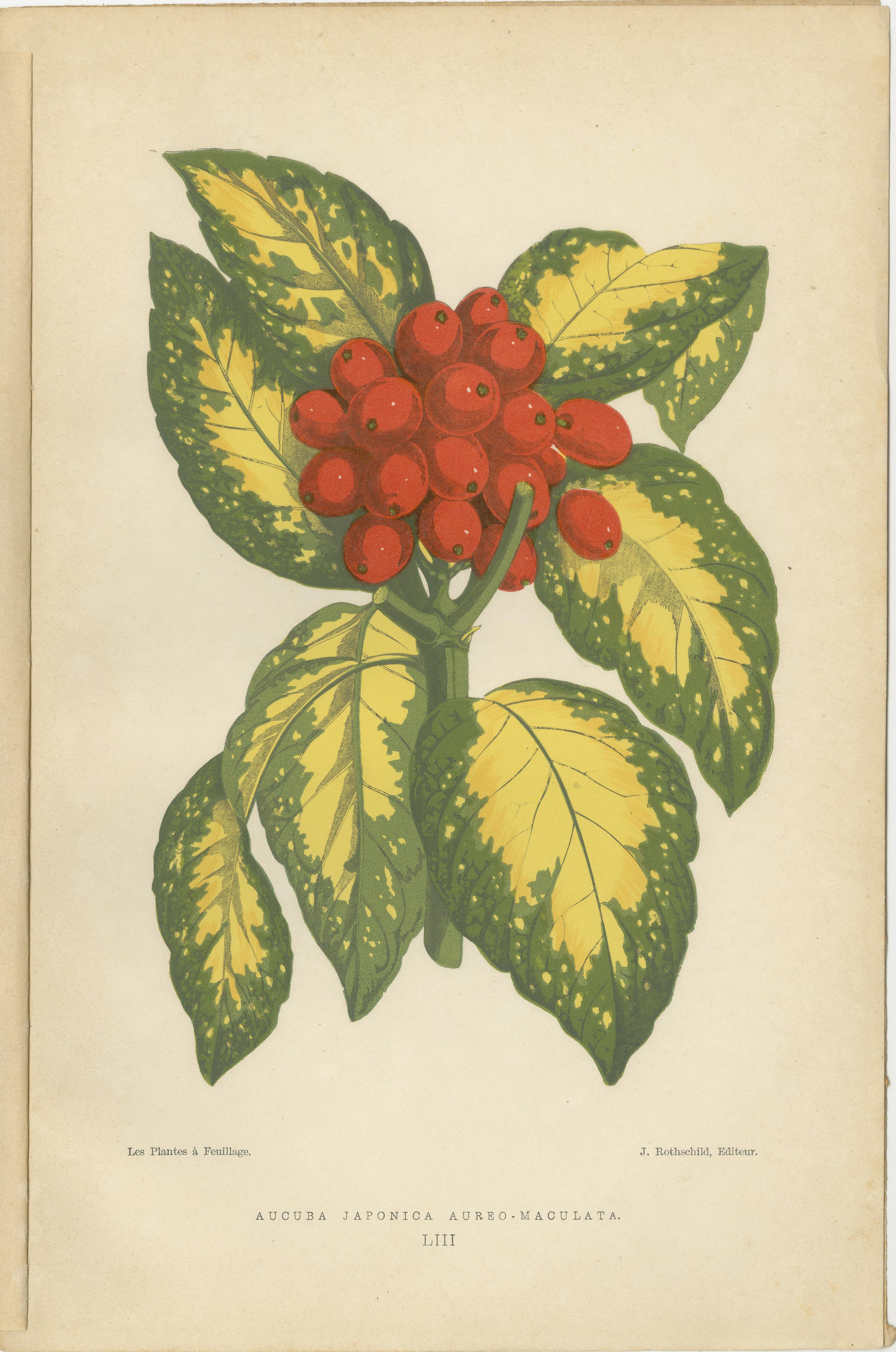 Variegated Elegance : A Study of Patterned Botanicals, publié en 1880 Bon état - En vente à Langweer, NL