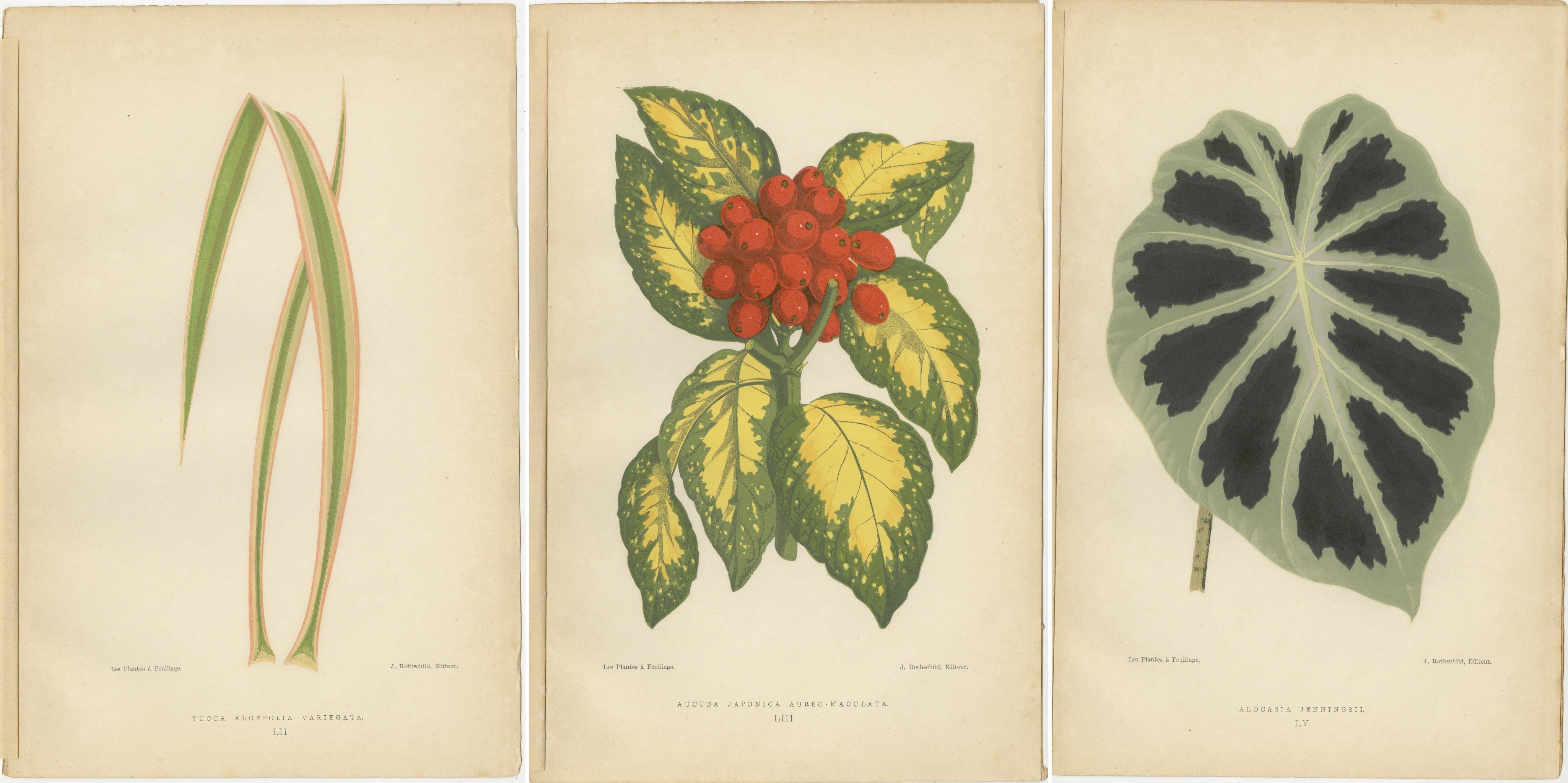 Paper Variegated Elegance: A Study of Patterned Botanicals, Published in 1880 For Sale
