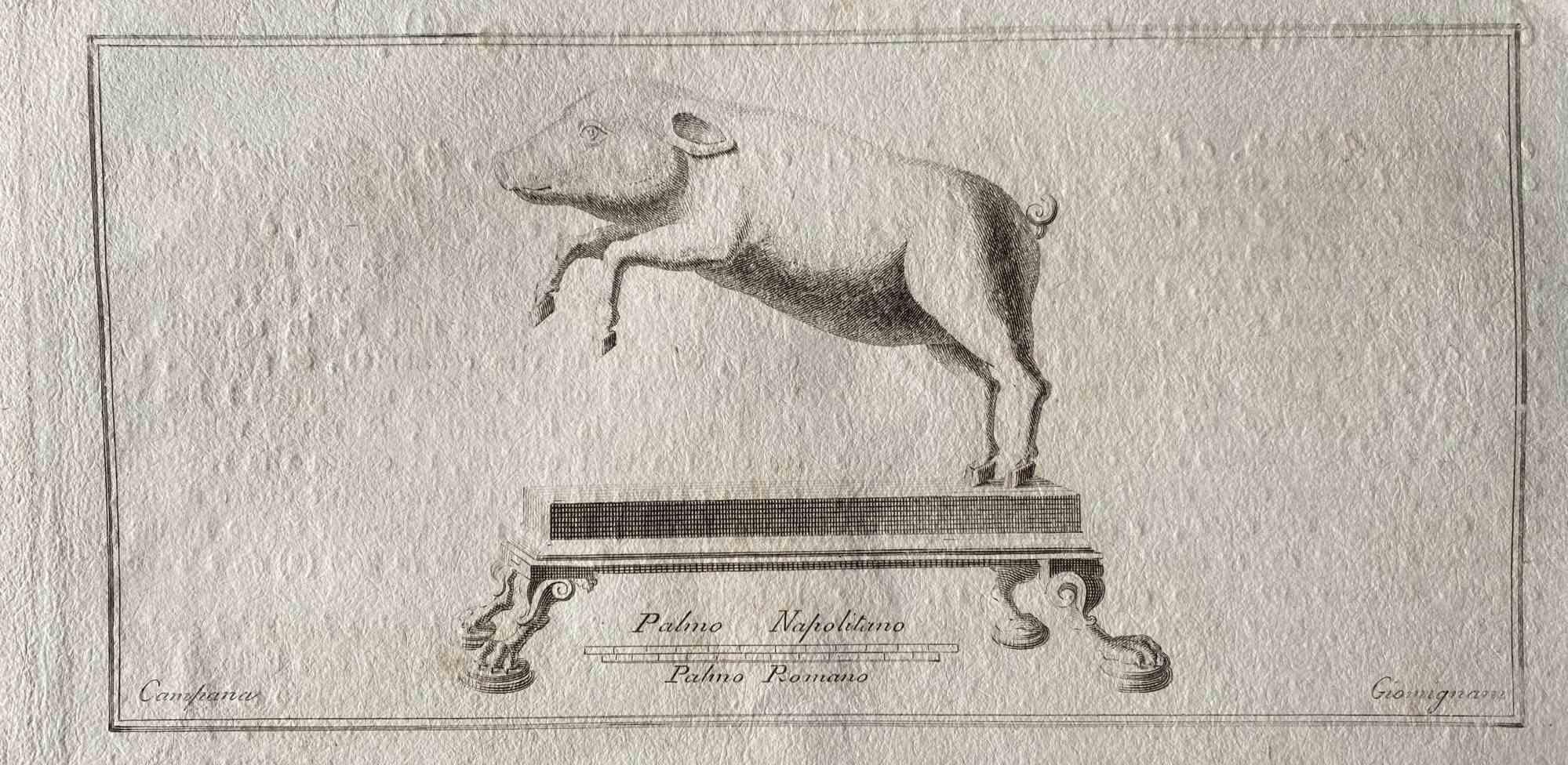 Unknown Animal Print - Animal Figures from Ancient Rome - Original Etching by Various Masters - 1750s