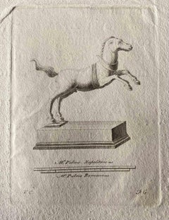 Figures d'animaux de la Rome antique - gravure originale de maîtres divers - années 1750