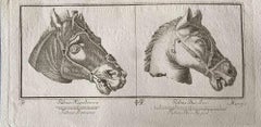 Animal Figures from Ancient Rome - Original Etching by Various Masters - 1750s