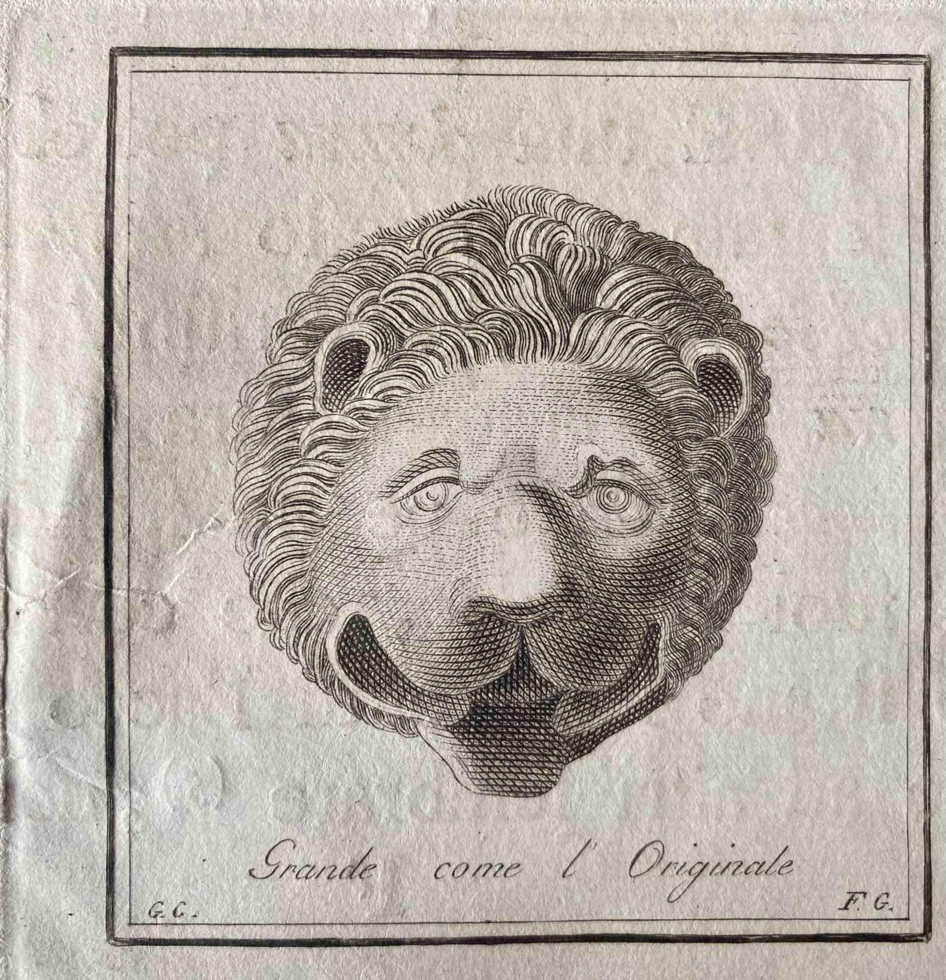 Figurative Print di Unknown - Figure di animali dell'antica Roma - Incisione originale di vari maestri - Anni 1750
