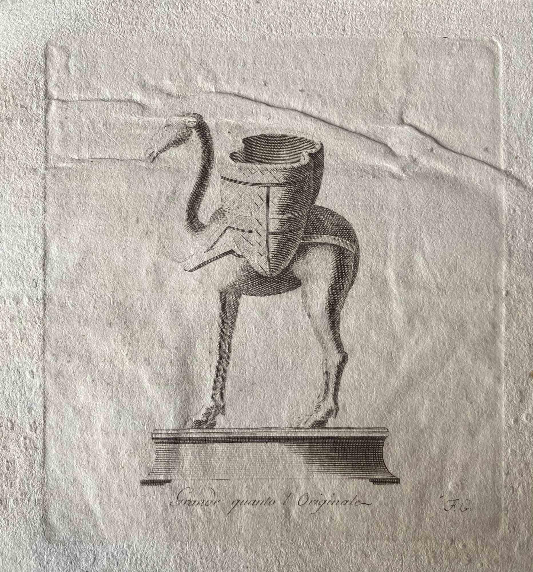 Unknown Animal Print – Tierfiguren aus dem antiken Rom – Original-Radierung von verschiedenen Meistern – 1750er Jahre