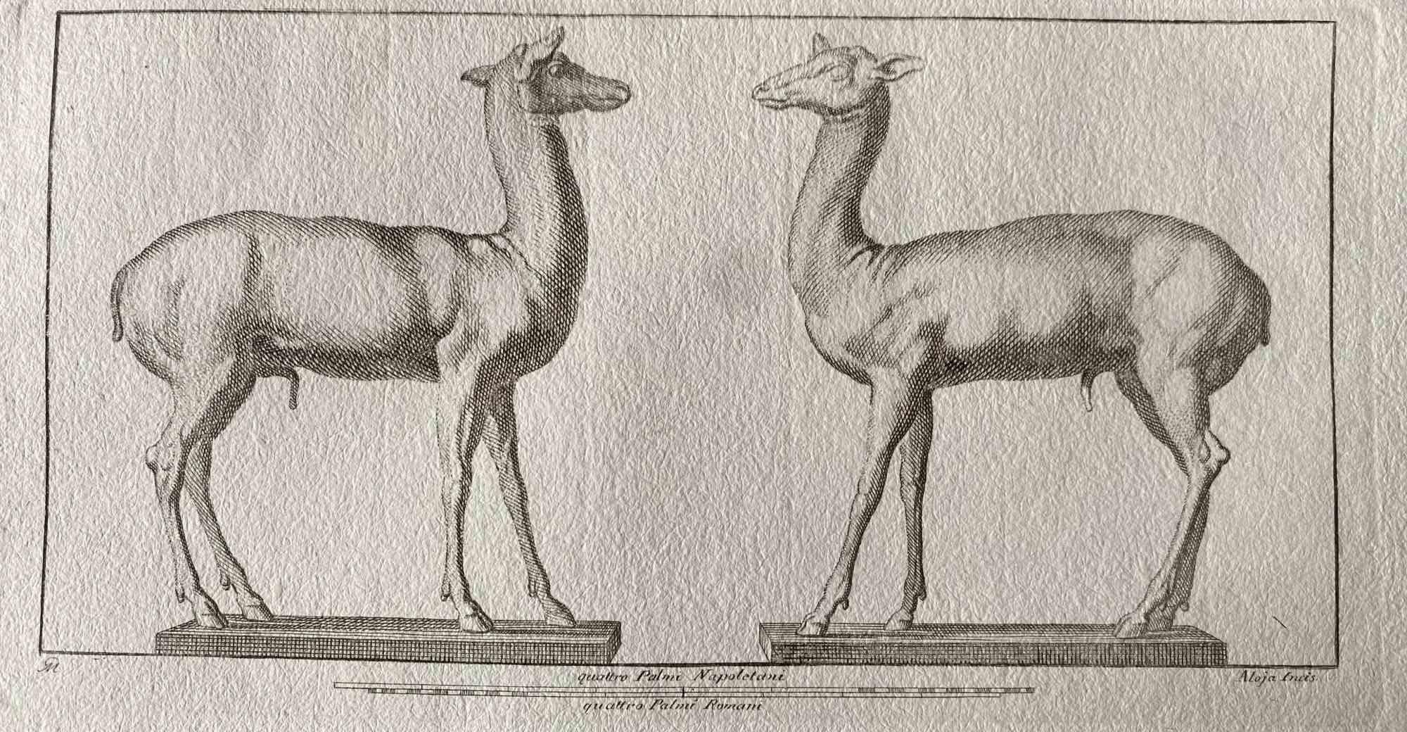 Animal Figures of Ancient Rome - Original Etching by Various Old Masters - 1750s