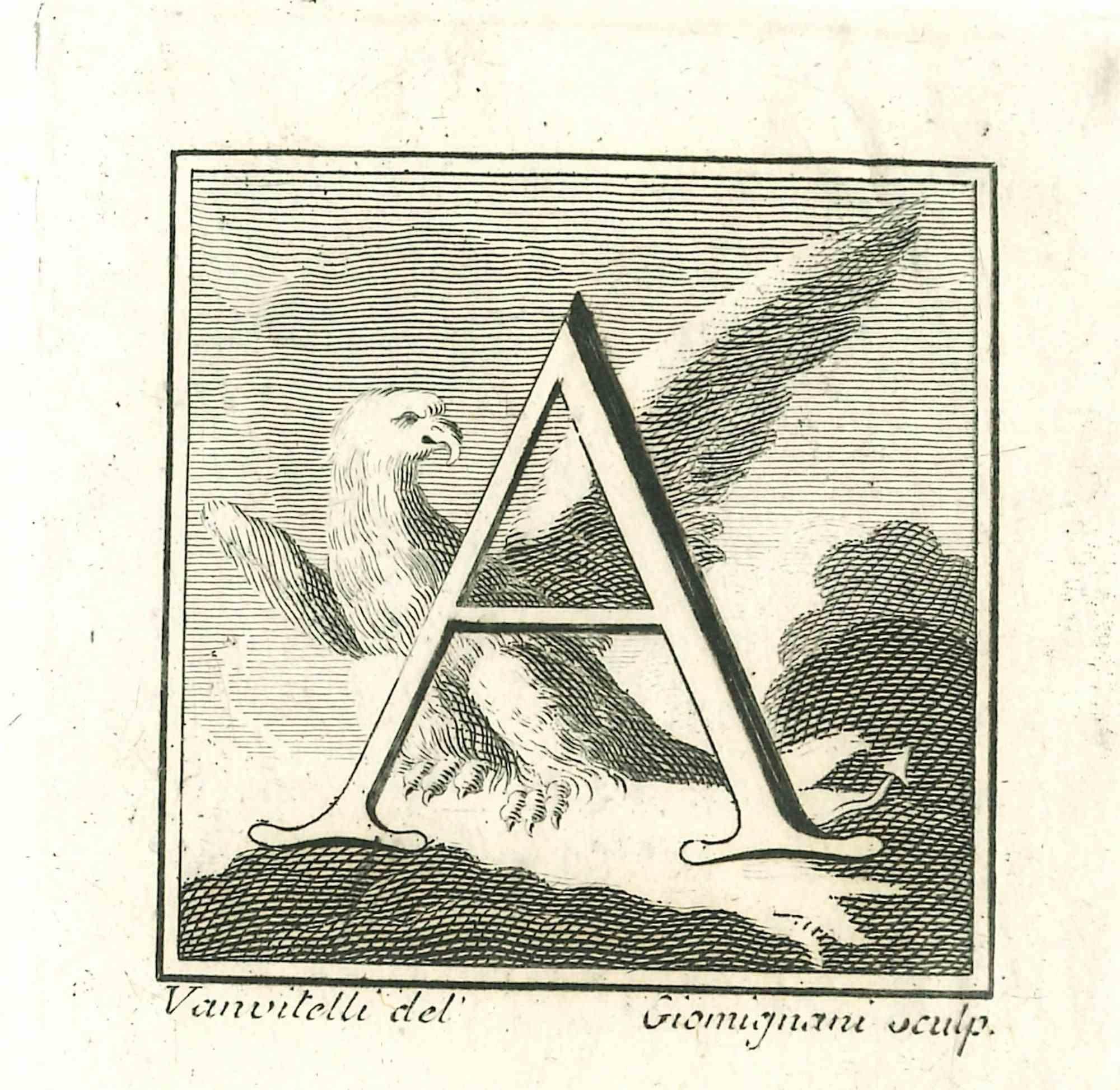 Unknown Figurative Print - Capital letter A from the Antiquities of Herculaneum - Etching - 18th Century
