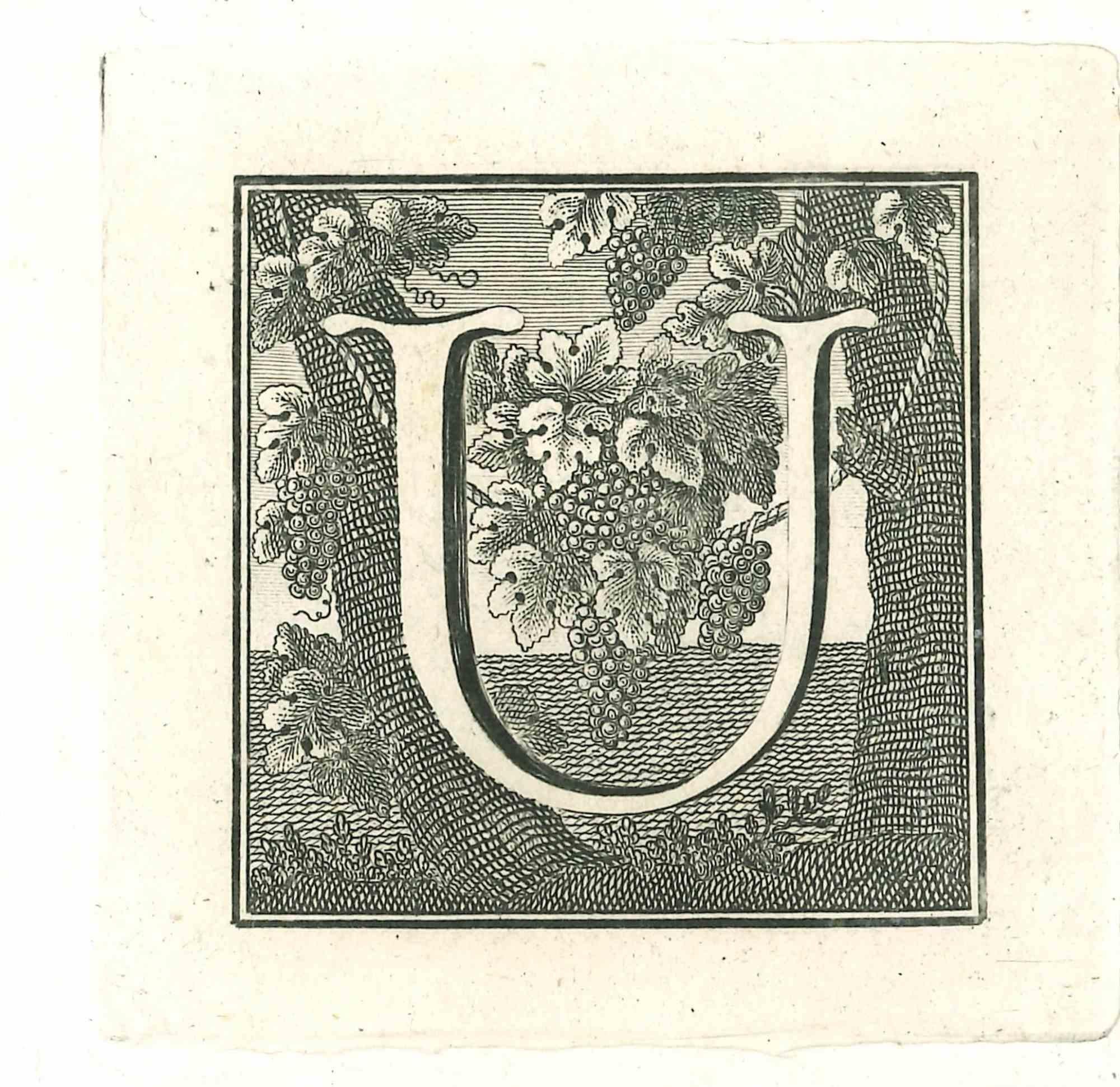 Unknown Figurative Print - Capital letter U from Antiquities of Herculaneum Exposed-Etching-18th Century