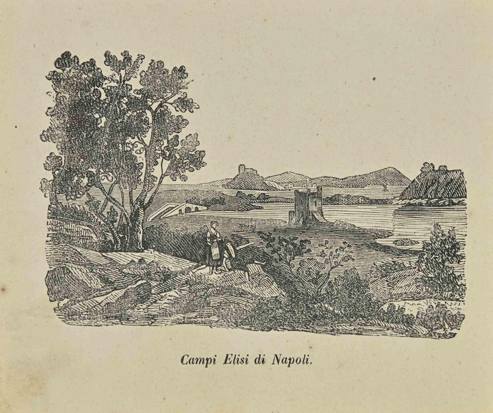 Various Artists Landscape Print - Uses and Customs - Elysian Fields in Naples - Lithograph - 1862